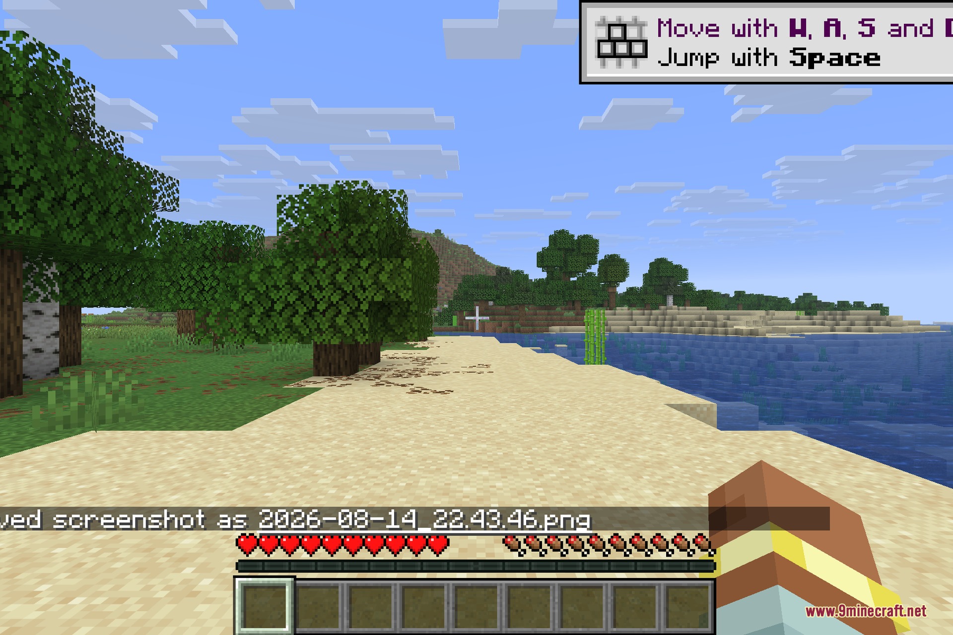 Thread Tweak 9minecraft Mod Screenshot 3 Player standing on a sandy beach with trees and a cactus in Minecraft