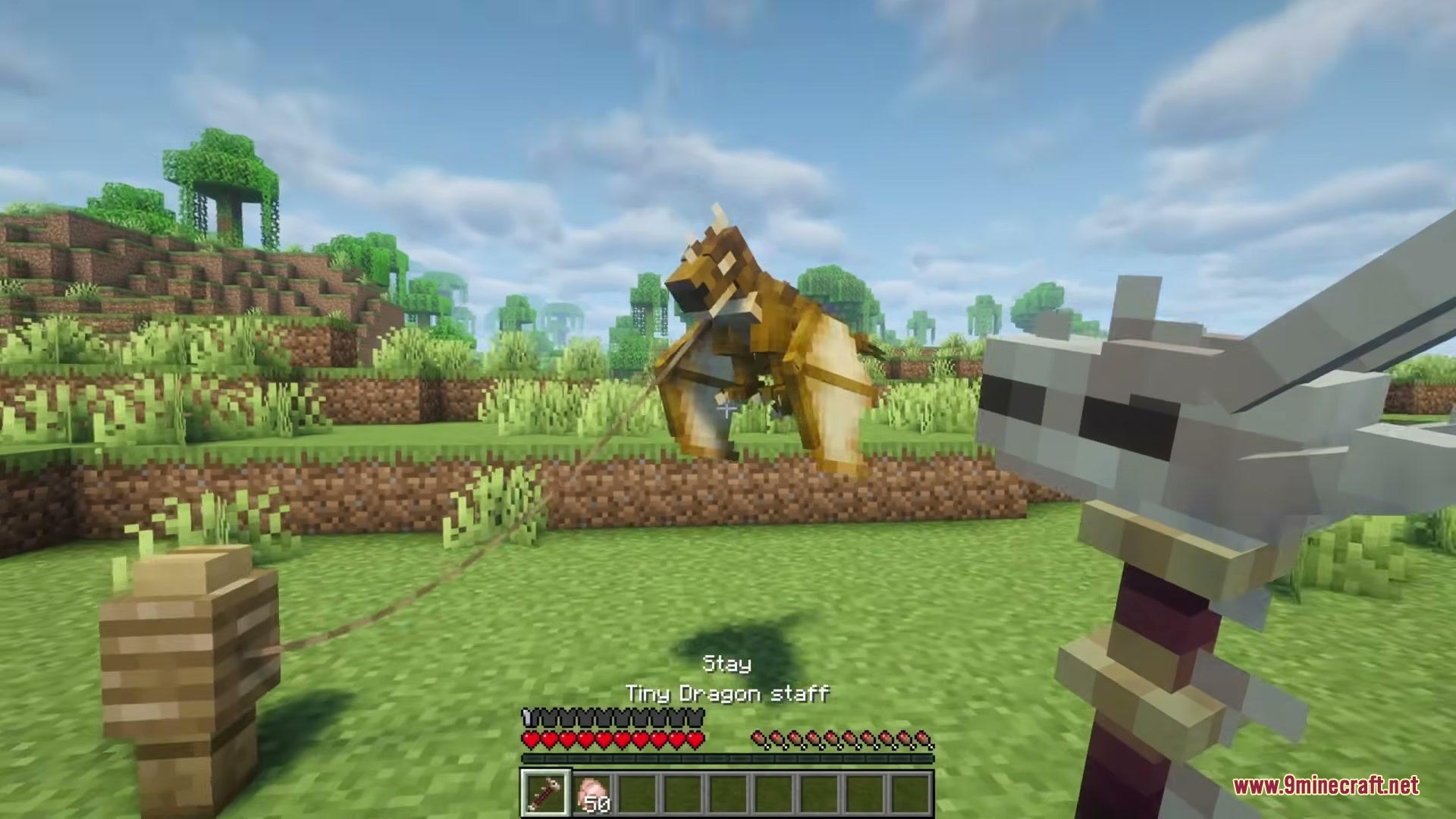 Player uses a Tiny Dragon staff to command a dragon on a lead
