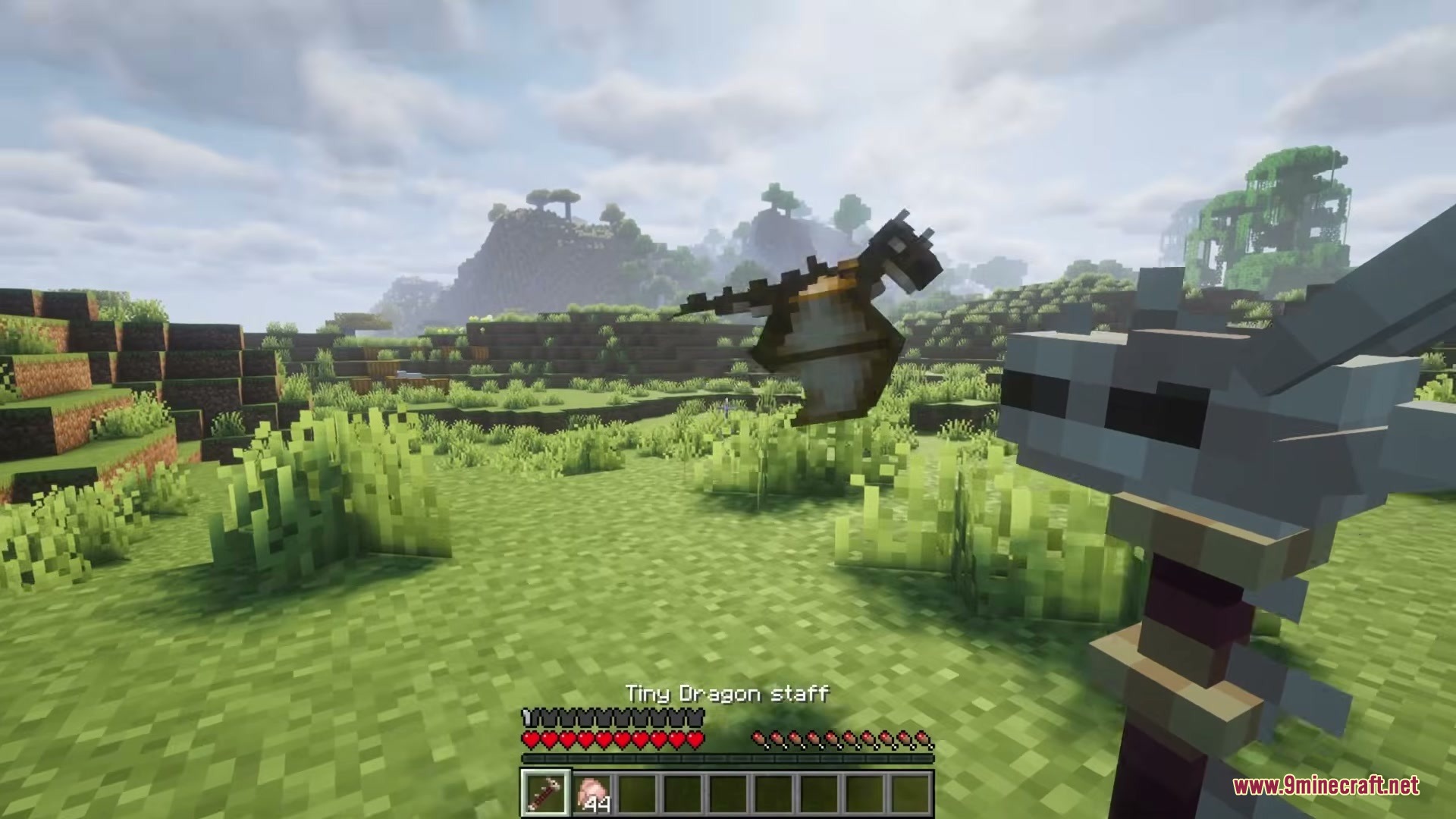 A player holding a dragon staff while a small pet dragon flies