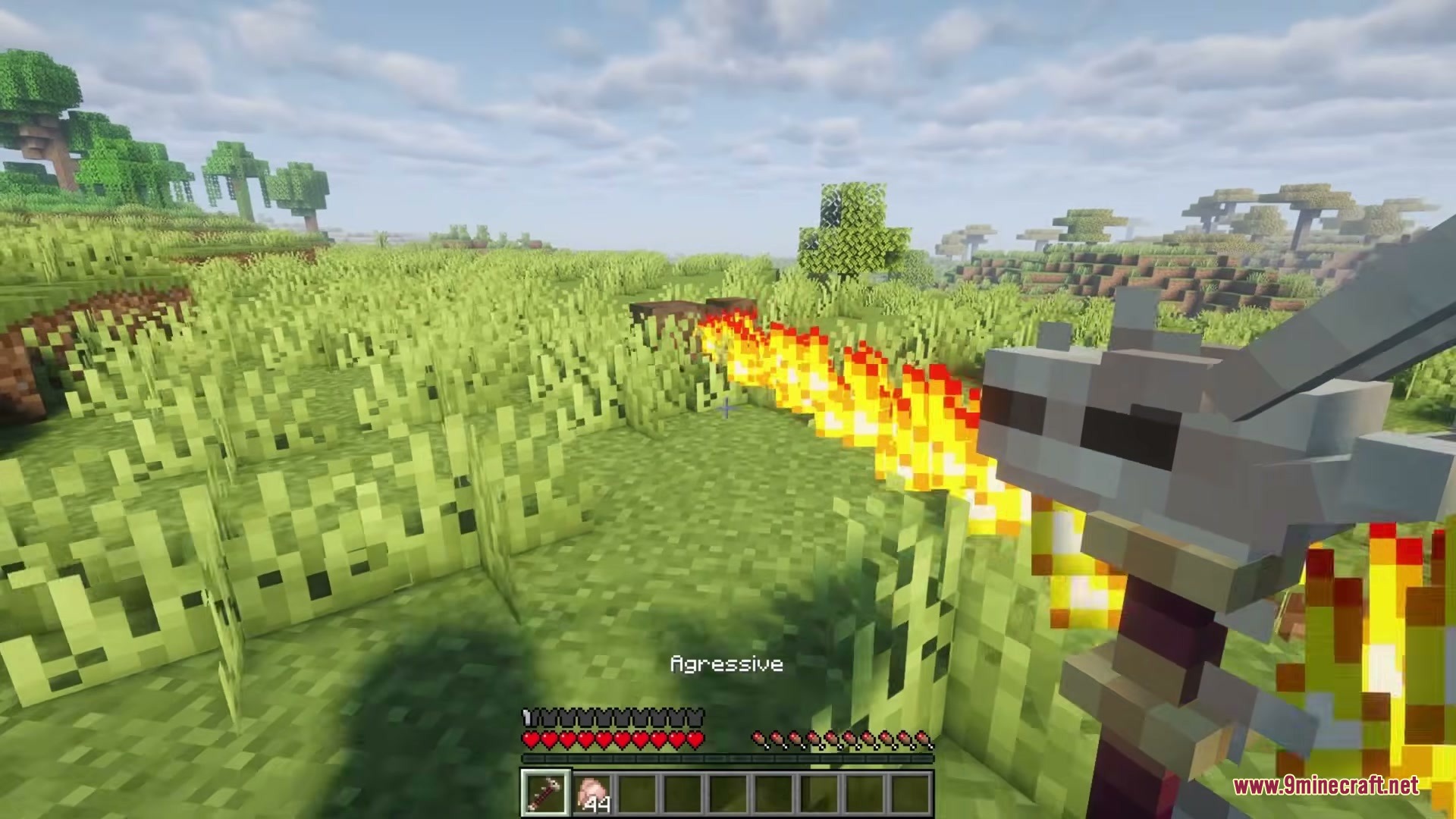 The player commands a pet dragon to breathe fire in aggressive mode