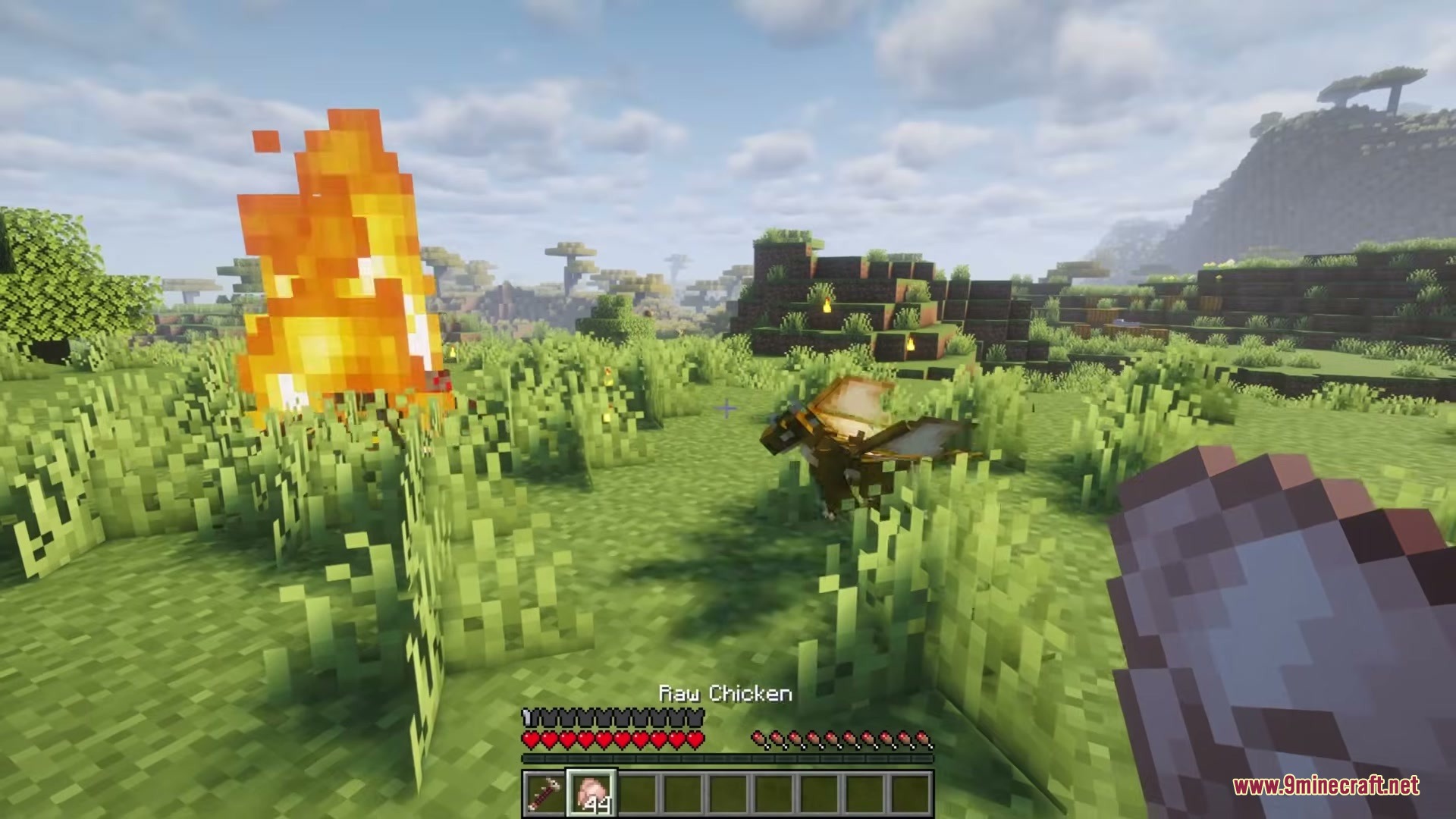 Player taming a small dragon with raw chicken near a large fire