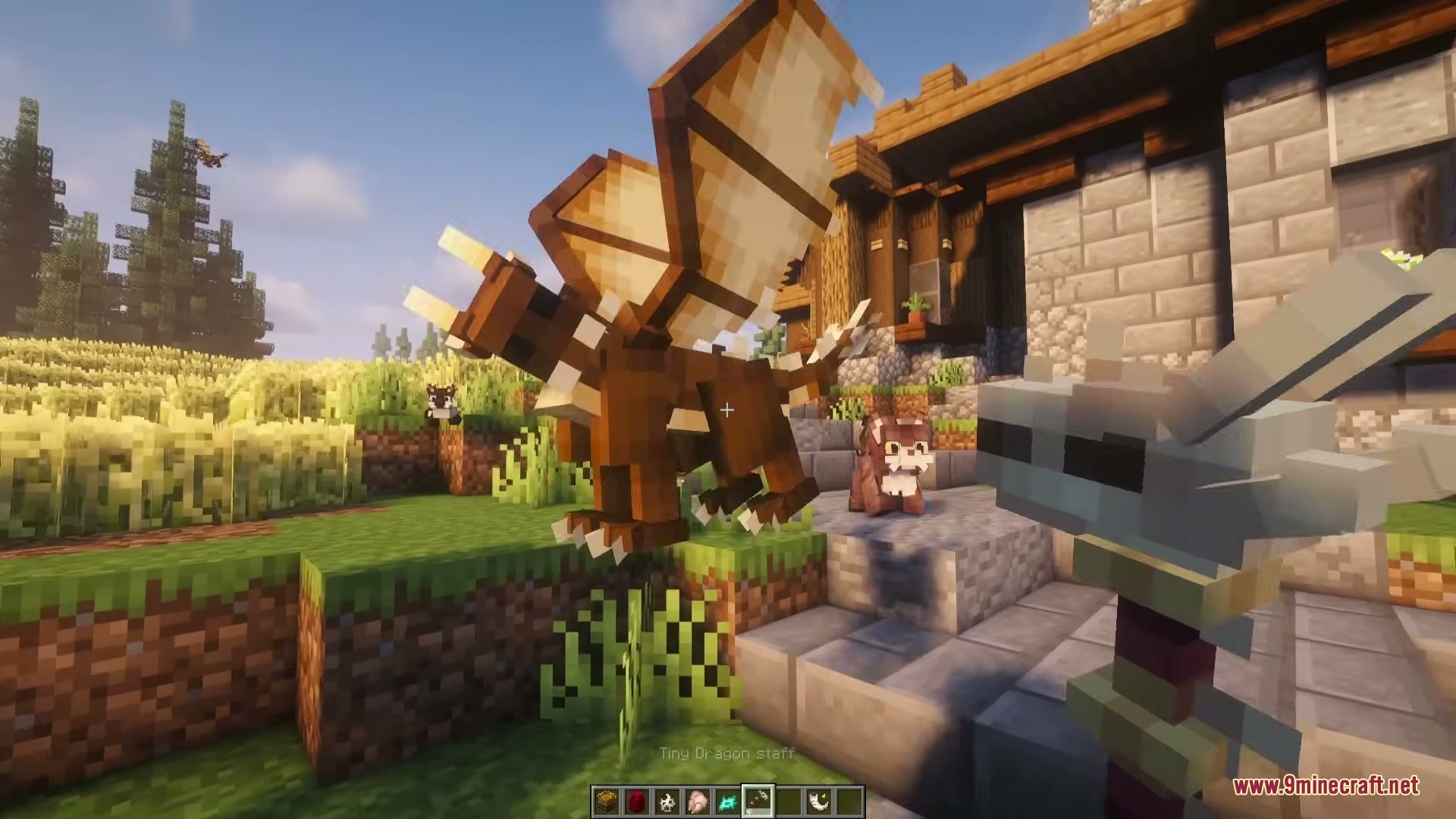 Tiny Dragons Reforged Mod (1.21.1, 1.20.1) – Hatch and Command Fire-Breathing — screenshot 8