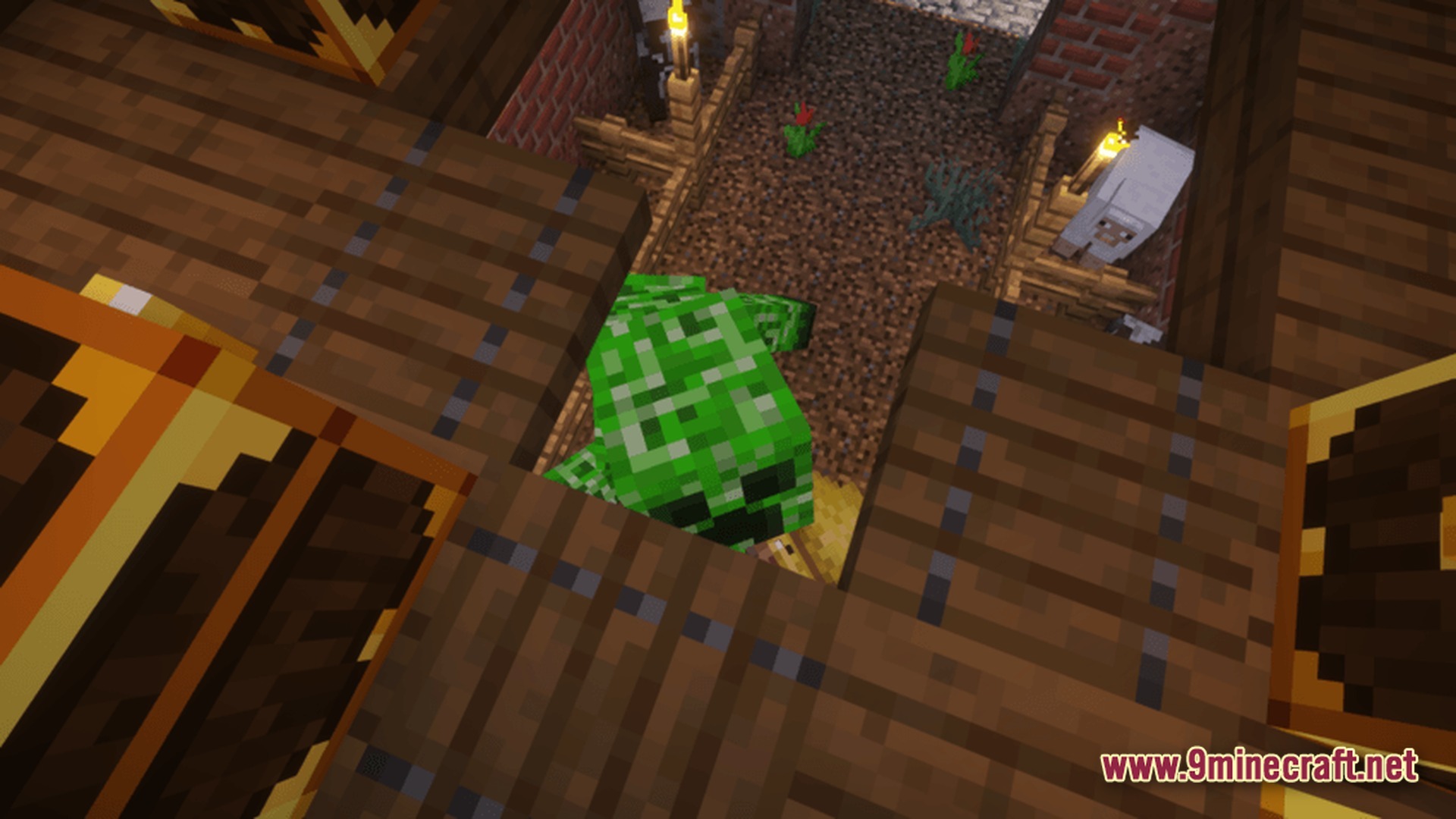 A creeper and sheep inside a fenced enclosure viewed from an overhead wooden structure