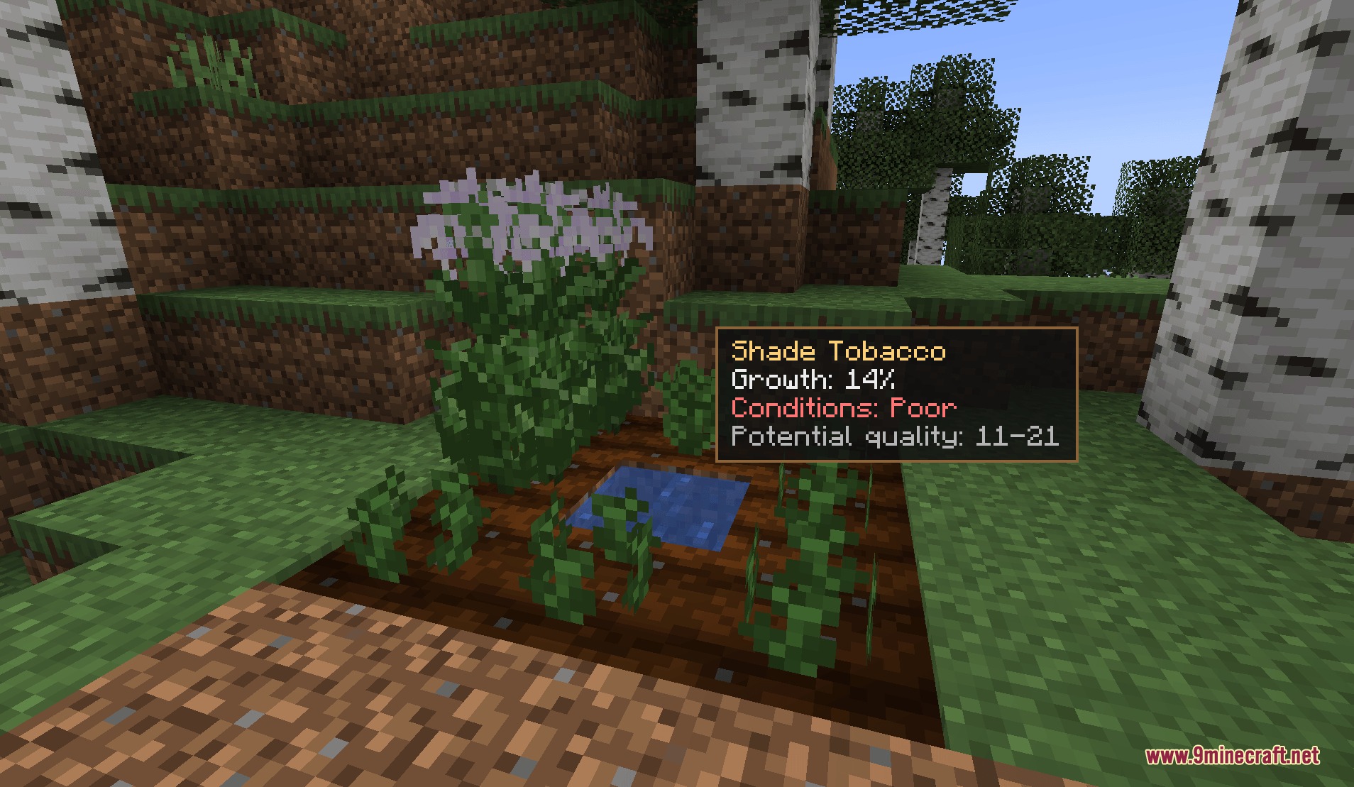 Tobacconist Mod Screenshot 1 Monitoring the growth and quality of crops in the Tobacconist Mod