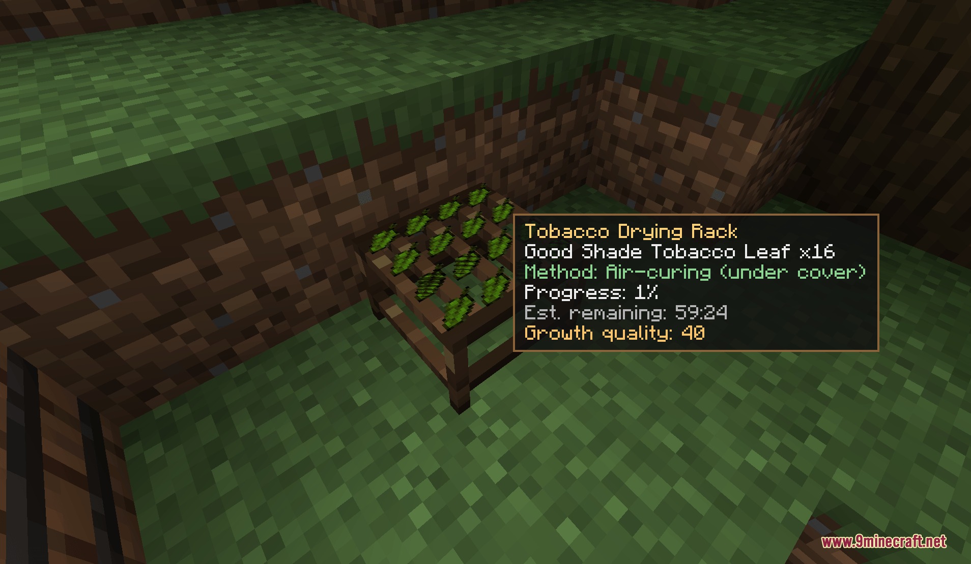 Tobacconist Mod Screenshot 7 A tobacco drying rack showing progress and quality for curing leaves in Minecraft