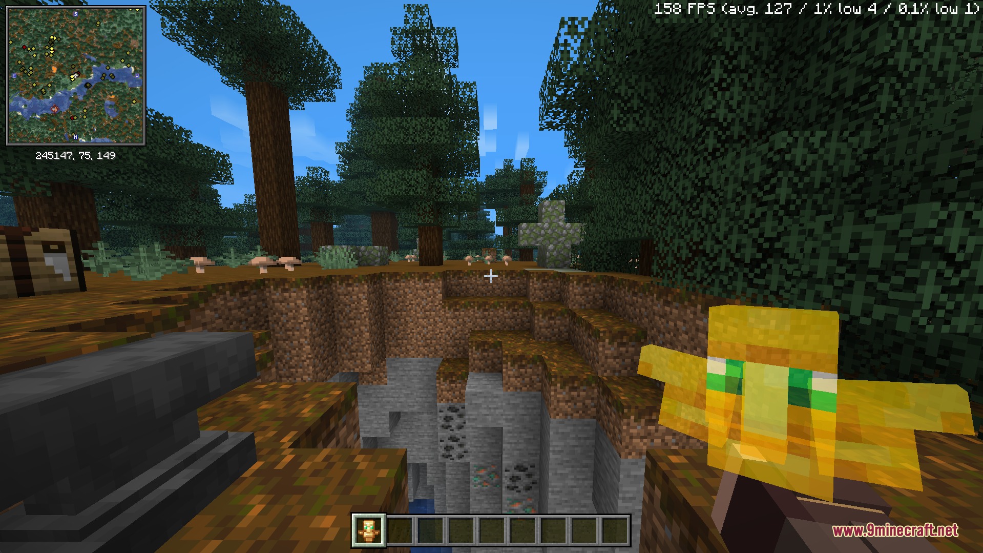 Totem & Stuff Resource Pack Screenshot 4 First person view of the translucent totem model from the new resource pack