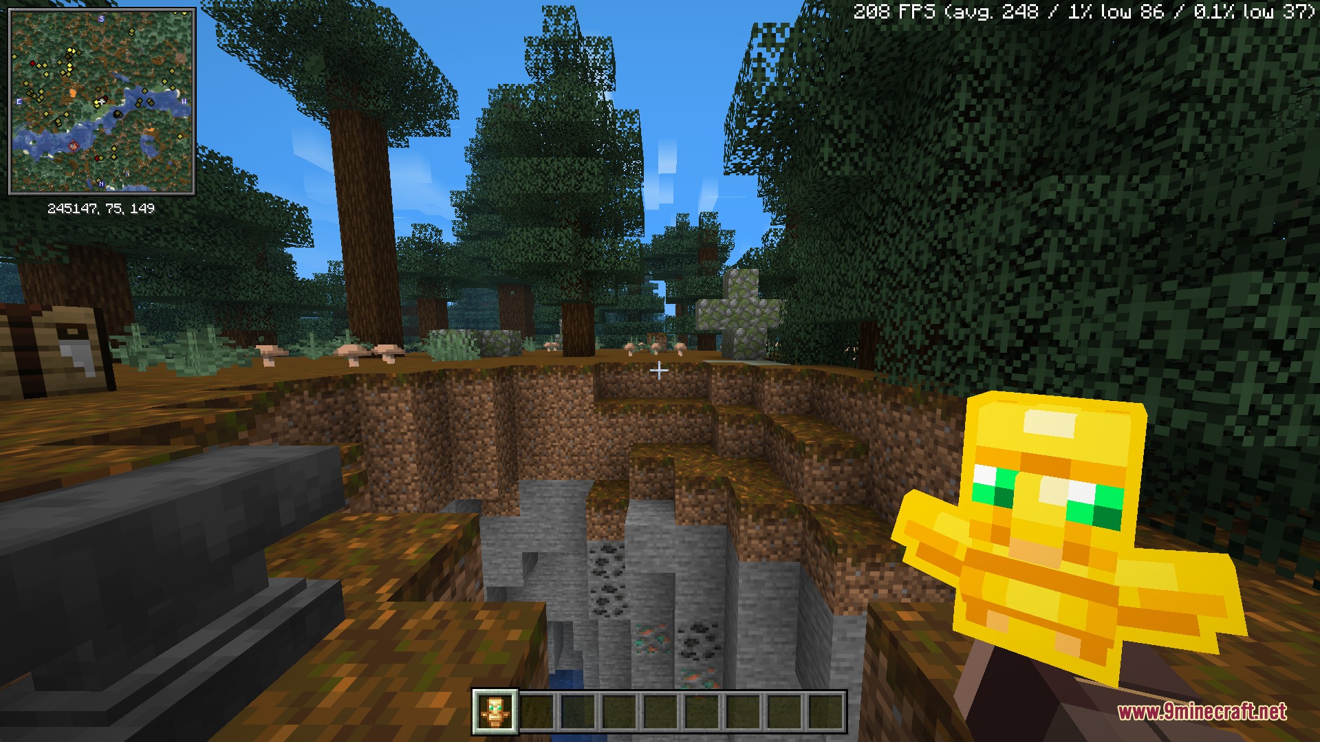 Totem & Stuff Resource Pack Screenshot 6 Standard opaque Totem of Undying model held by a player in a forest