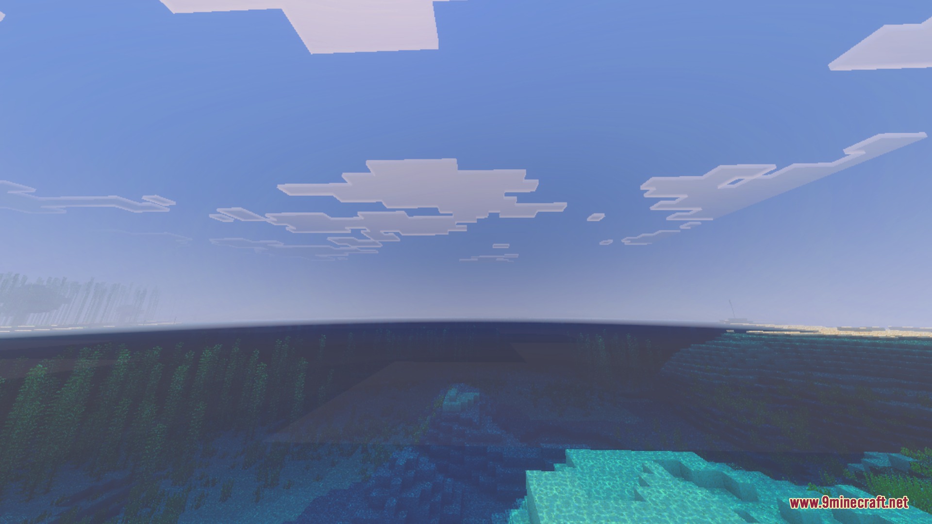 Clear ocean water with kelp growing beneath a bright sky with blocky clouds