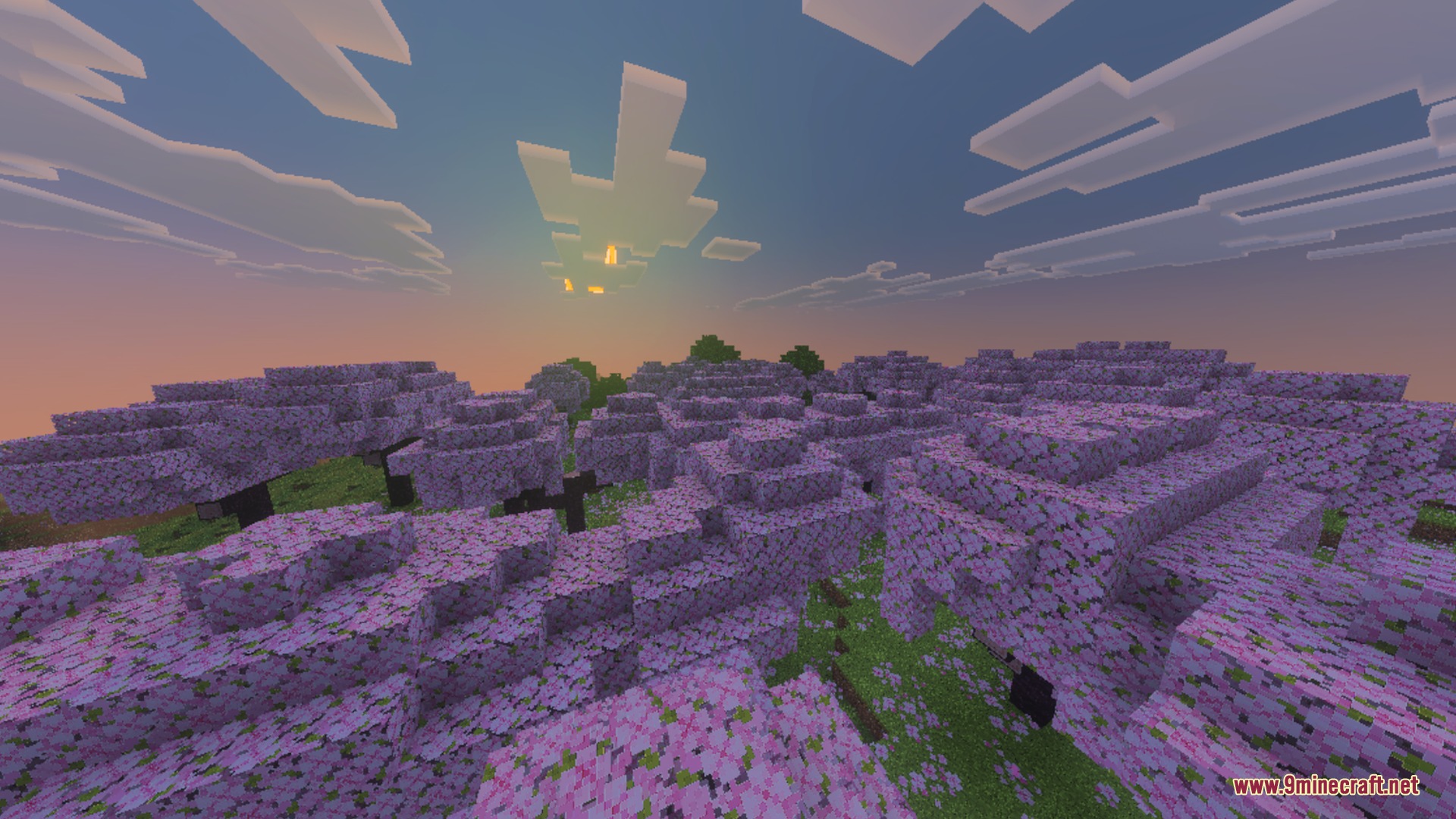 Cherry blossom forest at sunset with clean textures and soft atmospheric fog