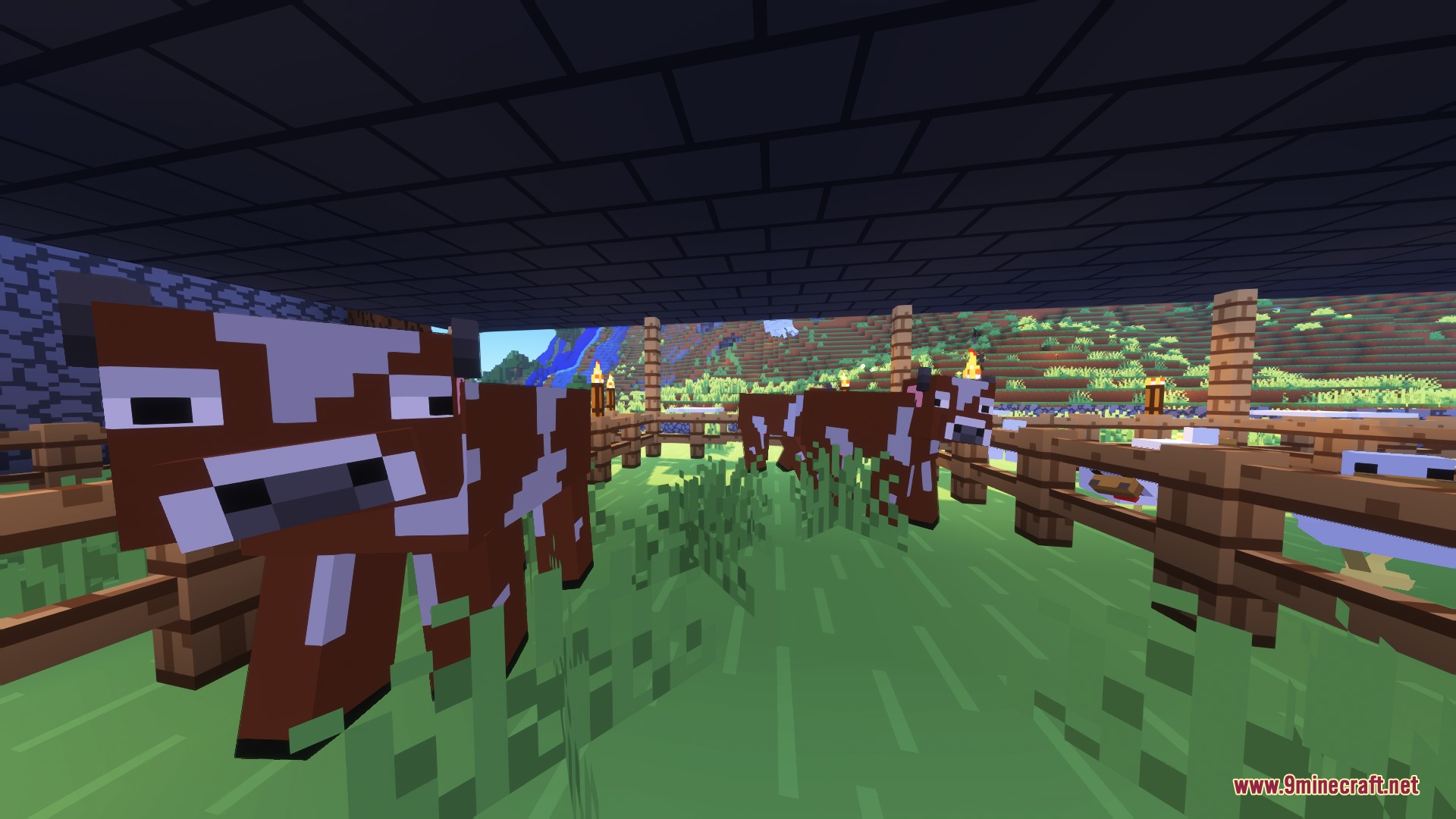 Trailers Vision X Fresh Animations Resource Pack Screenshot 1 A cow with expressive eyes and trailer style textures in a pen