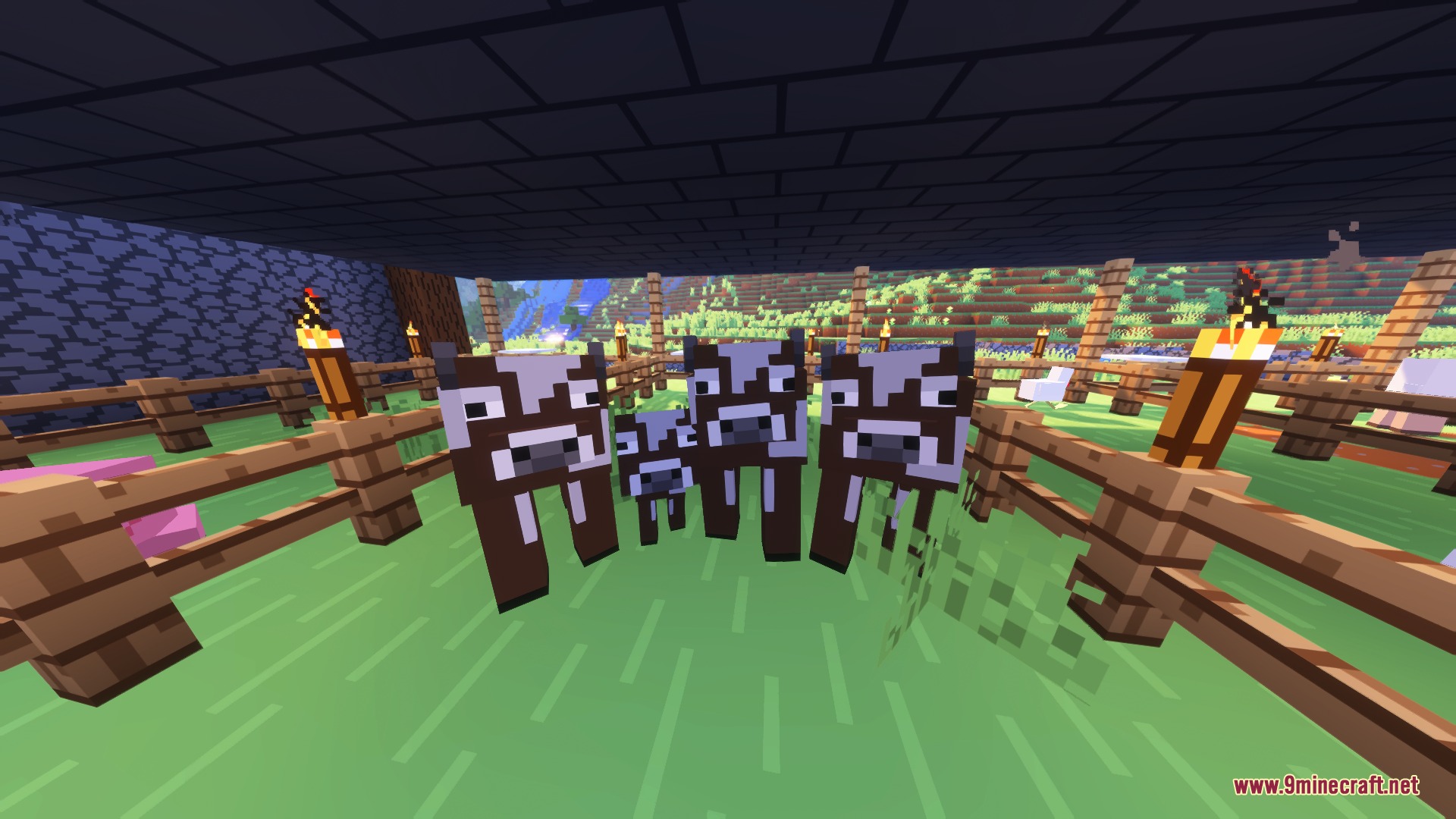 Trailers Vision X Fresh Animations Resource Pack Screenshot 3 Several cows and a calf standing inside a wooden fence with torches