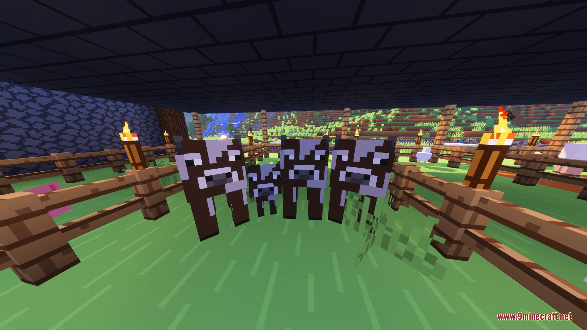 Trailers Vision X Fresh Animations Resource Pack Screenshot 4 Group of cows with clean textures standing together in a fenced area
