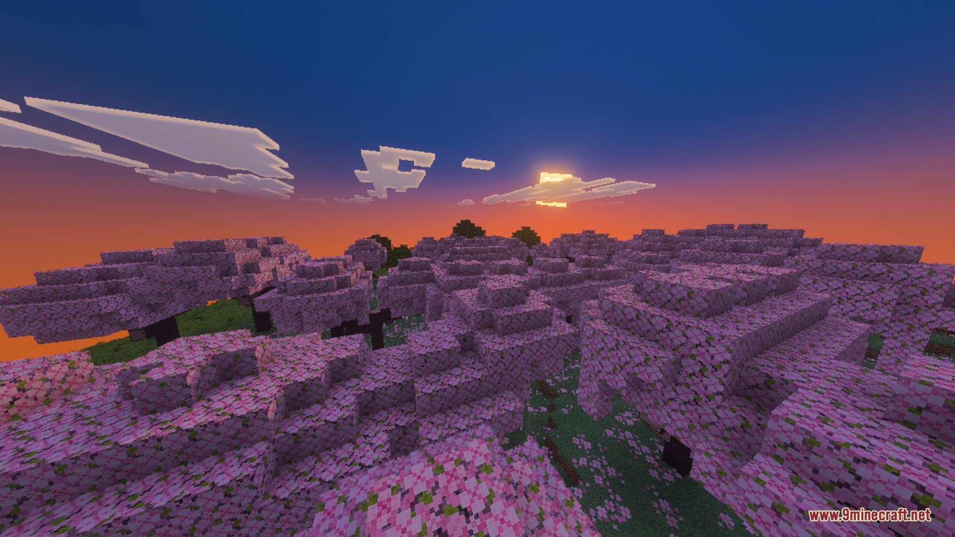 True Shades Realism Shader Screenshot 2 Cherry blossom grove at sunset featuring realistic lighting and soft shadows in Minecraft