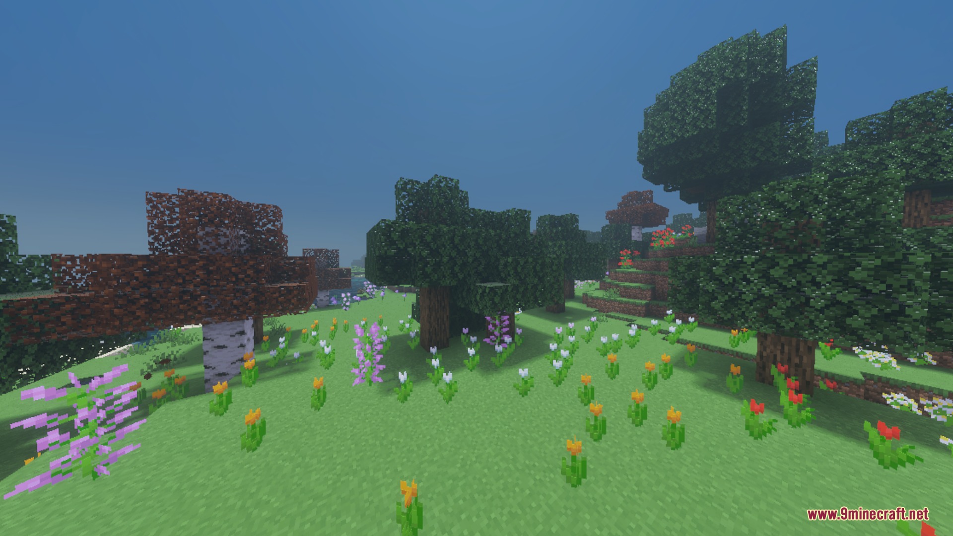 A lush flower forest biome featuring colorful tulips and tall lilac plants