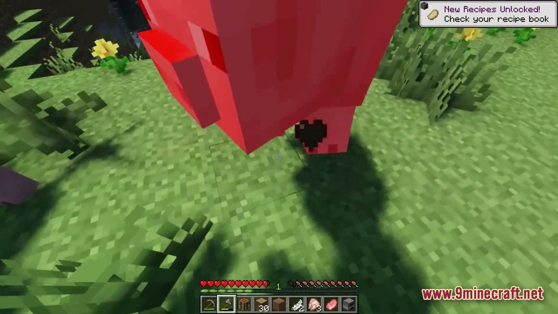 Twixxel's Stalkers Modpack Screenshot 1 A player stands in a grassy field near a pig emitting black heart particles