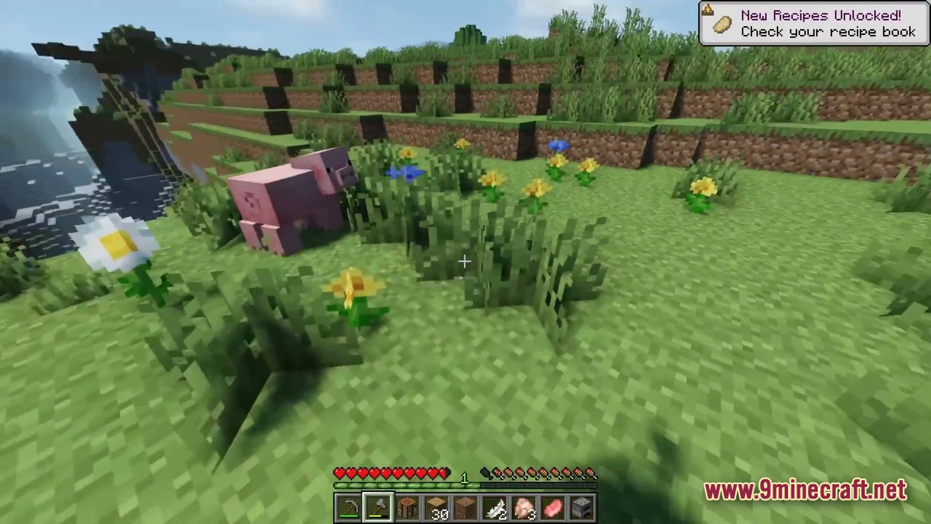 Twixxel's Stalkers Modpack Screenshot 2 A pig stands in a grassy field with flowers near a cliffside in Minecraft