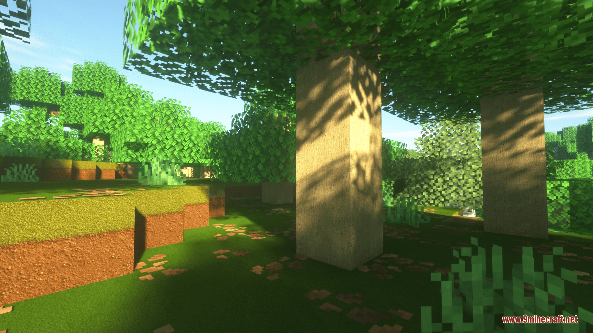 Ultimate Realism Pack Resource Pack Screenshot 3 Sunlight filters through realistic trees in a high resolution Minecraft forest scene
