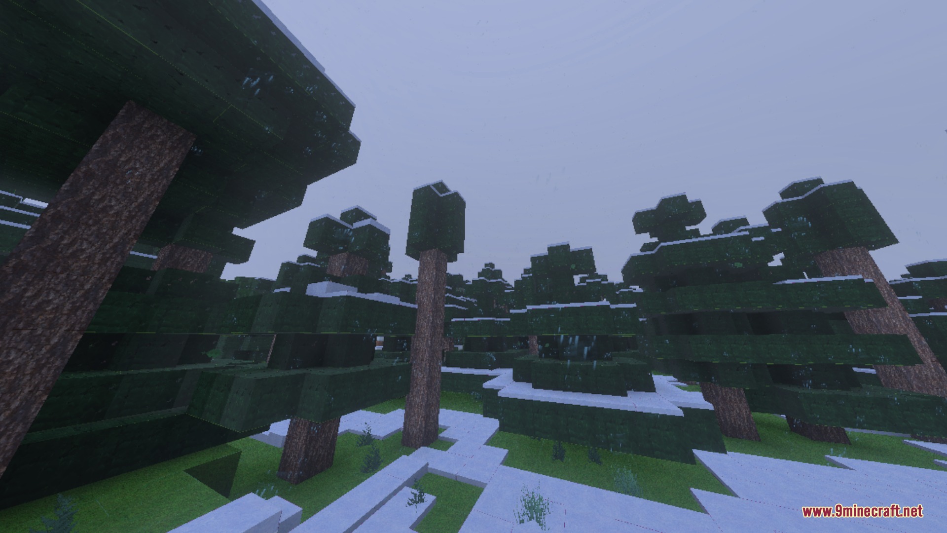Ultimate Shaders Screenshot 10 Snowy spruce forest biome with white snow covering the grassy ground