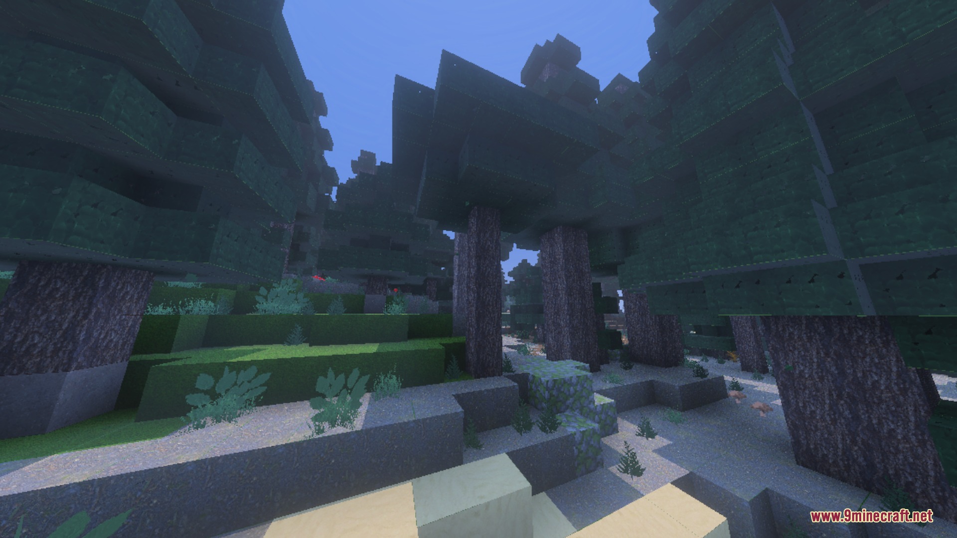 Ultimate Shaders Screenshot 7 A dense spruce forest with sharp block textures and soft ambient lighting effects