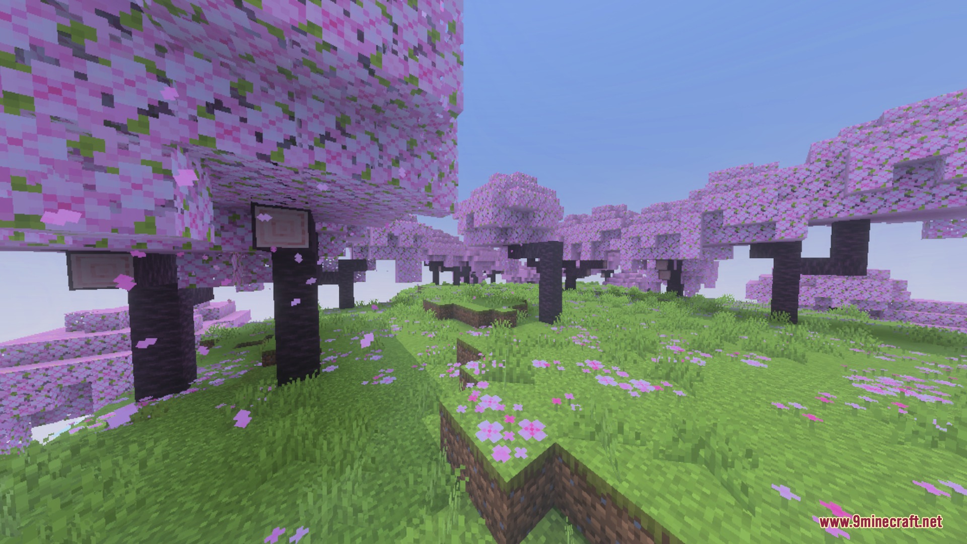 Ultra X-Ray + Night Vision Shader Screenshot 1 Beautiful cherry blossom forest with pink petals scattered across the grassy ground
