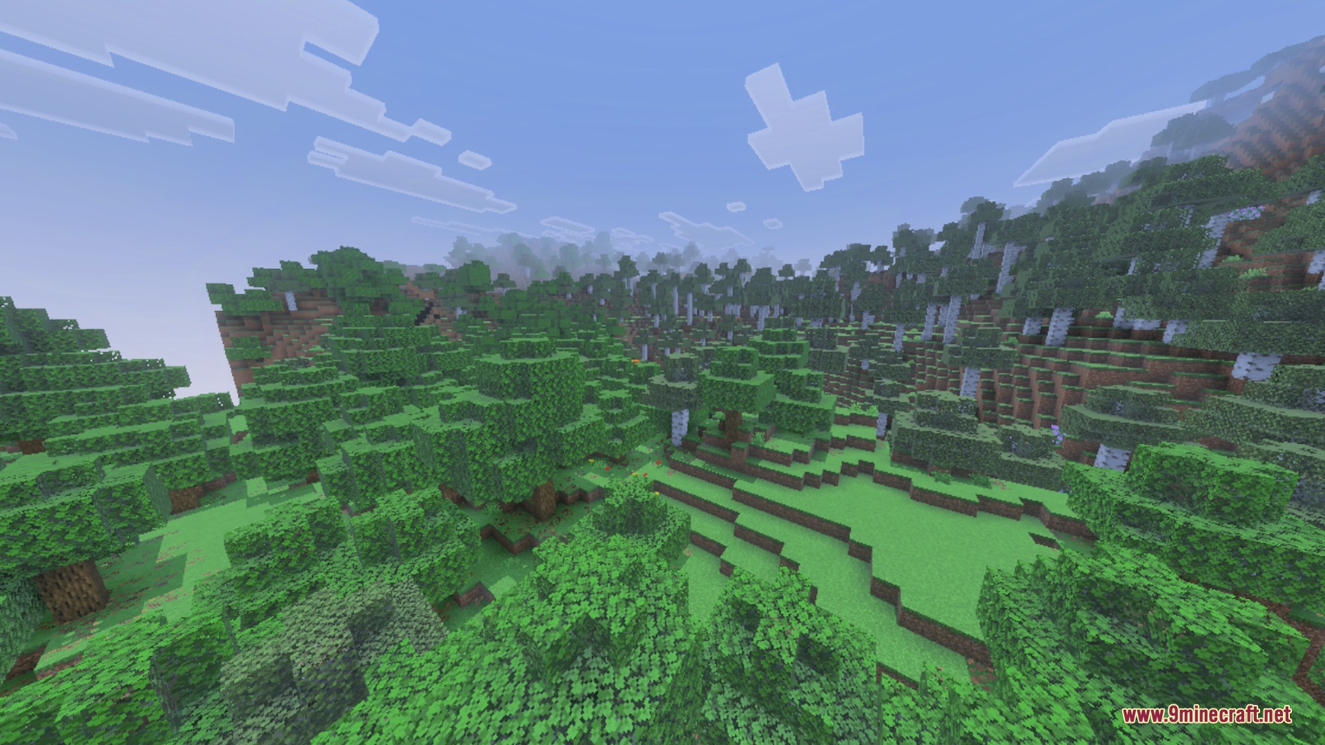 Ultra X-Ray + Night Vision Shader Screenshot 2 Dense forest landscape featuring oak and birch trees on a rolling green hill
