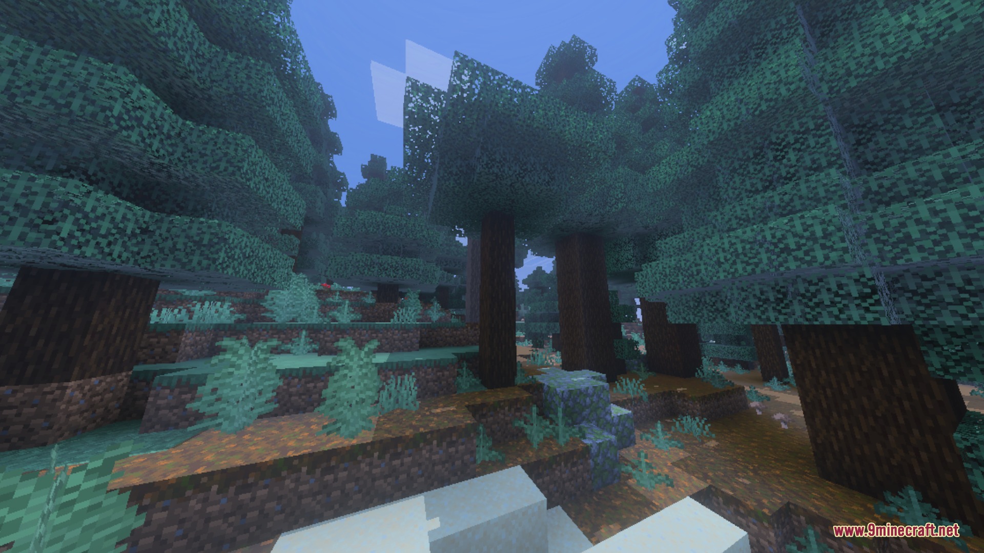 Ultra X-Ray + Night Vision Shader Screenshot 3 A dense spruce forest landscape with tall trees and lush green ferns