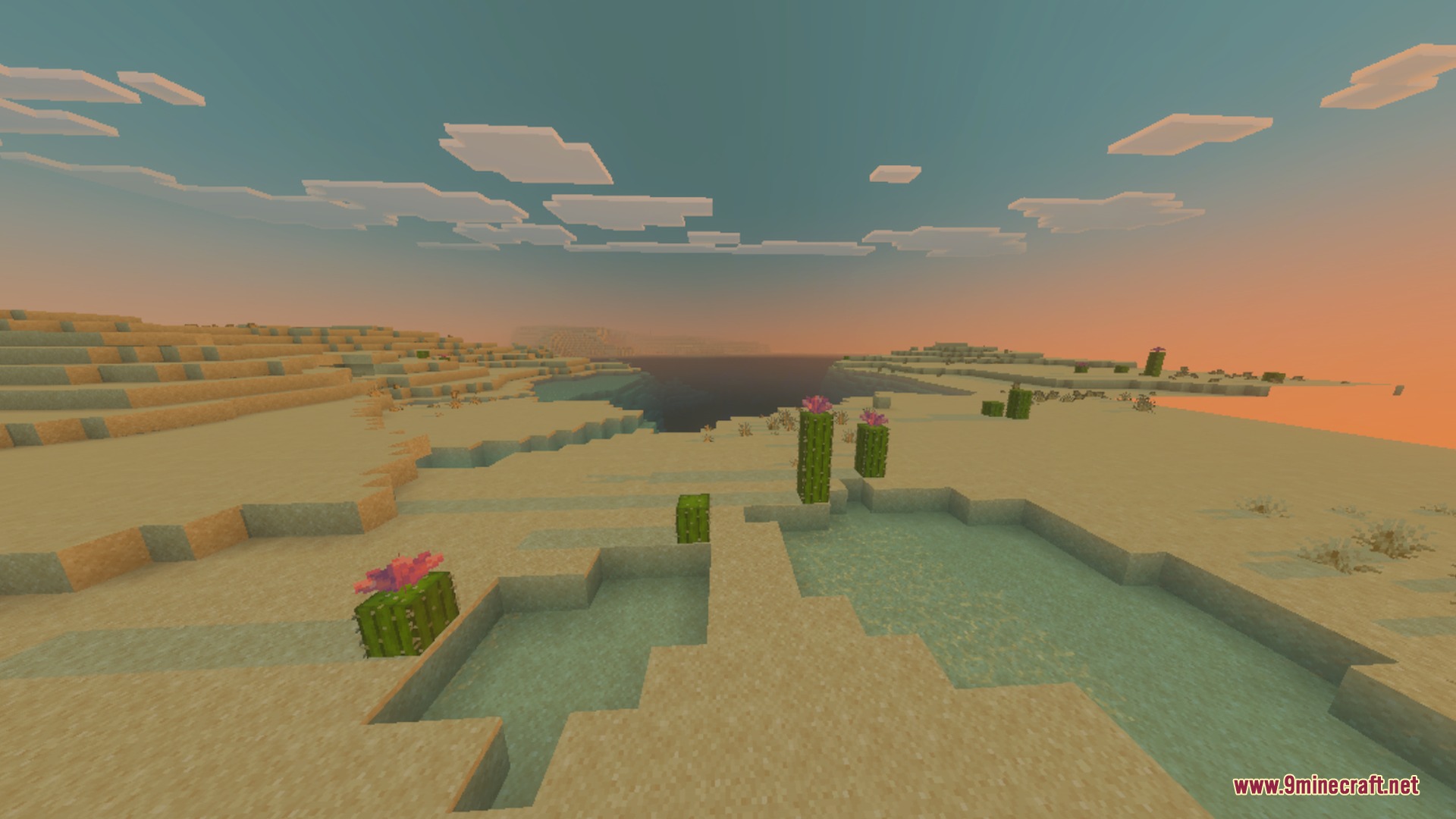 Ultra X-Ray + Night Vision Shader Screenshot 4 A desert landscape at sunset with flowering cacti and a large ocean