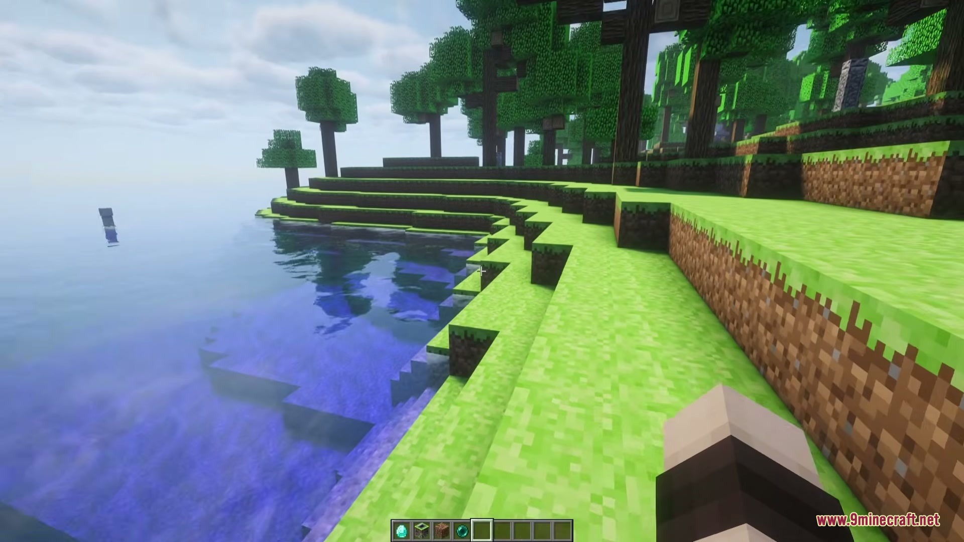 Lush green grass along a shoreline next to clear blue water in Minecraft