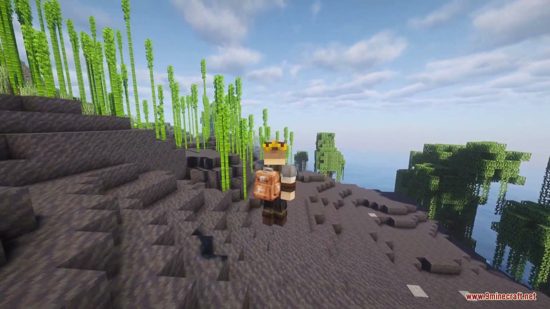 Vagabond Cargo Mod Screenshot 6 A character wearing a backpack stands on a cliff next to tall bamboo stalks