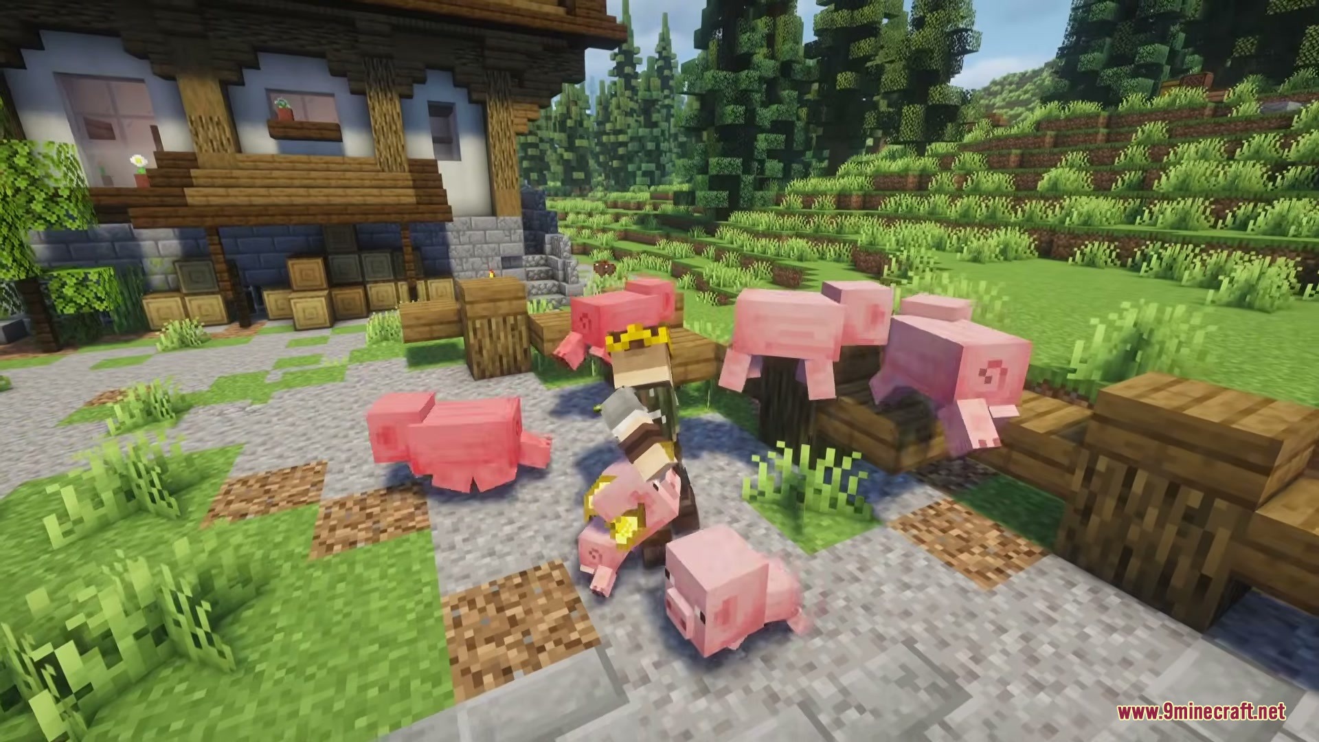 Vanilla Armory Mod Screenshot 2 Several pink pigs jump around a crowned player character in a field