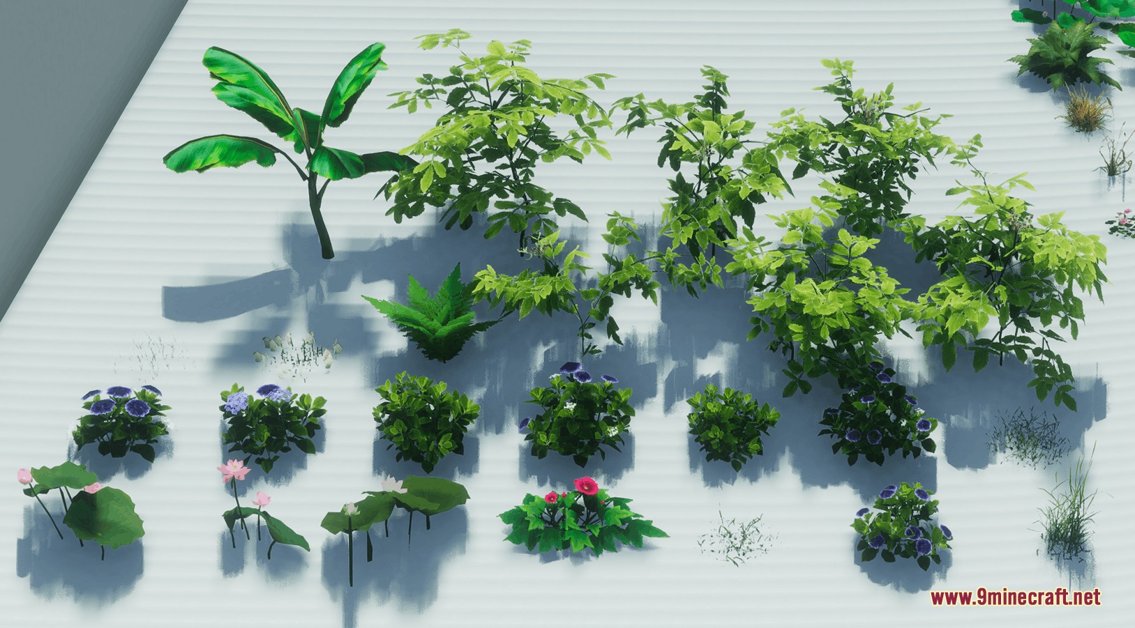 A collection of decorative shrubs and flowers including banana plants and lotus flowers