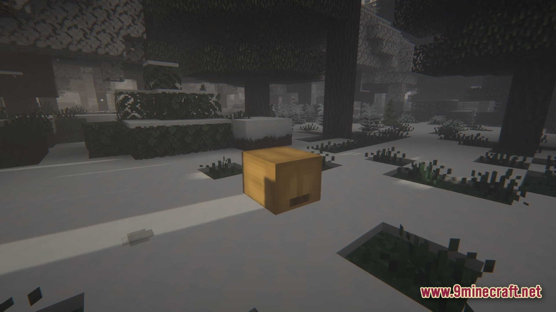 A single wooden beehive sits on a snow-covered ground within a dark, foggy forest biome