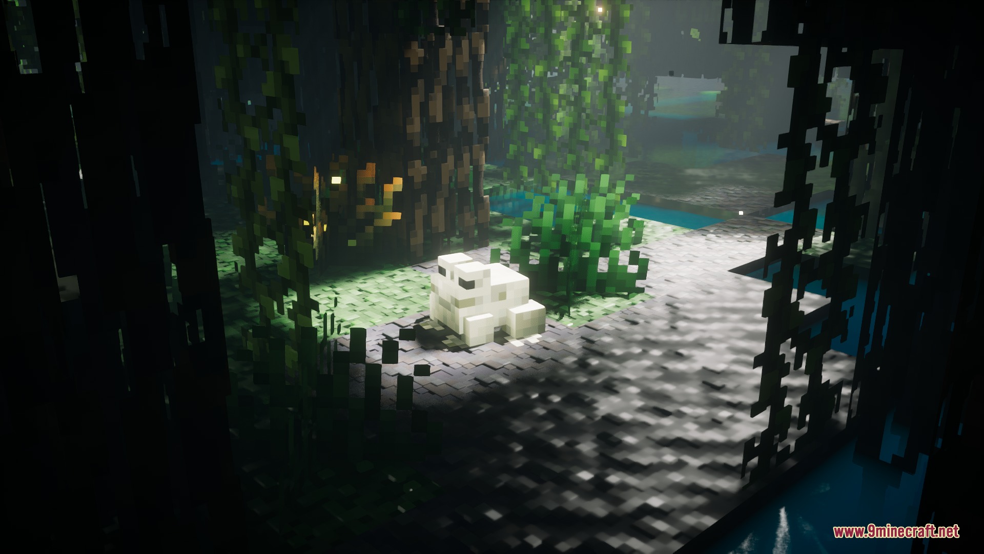 A white frog sits on textured ground within a dark swampy forest
