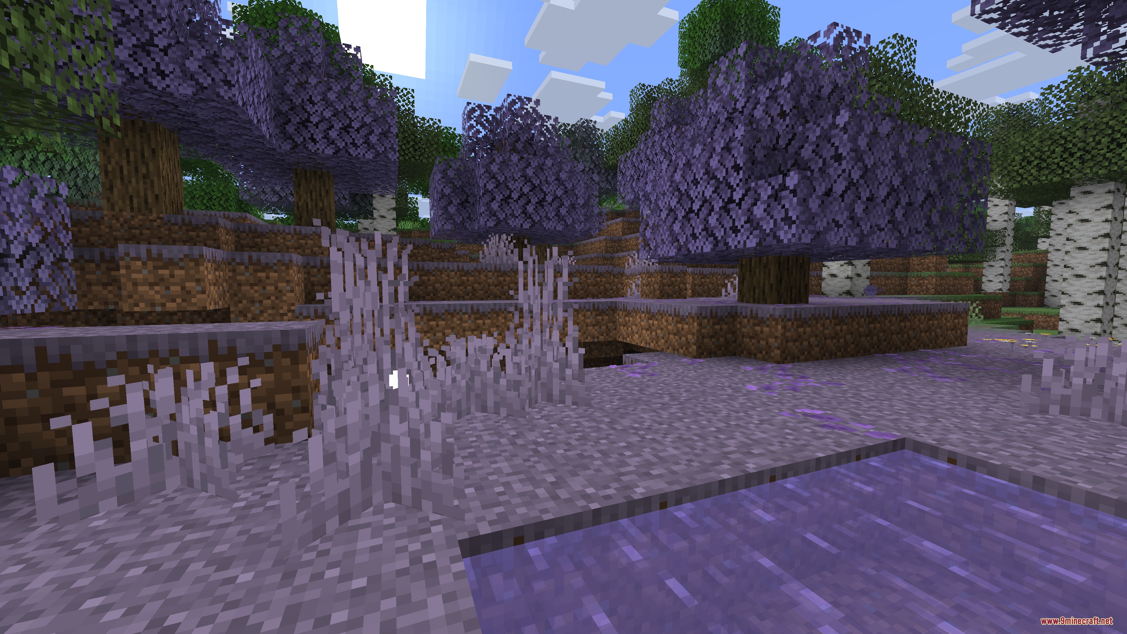 Vibrant Sundries Mod Screenshot 2 A custom Minecraft forest biome with purple trees and grass near a pond