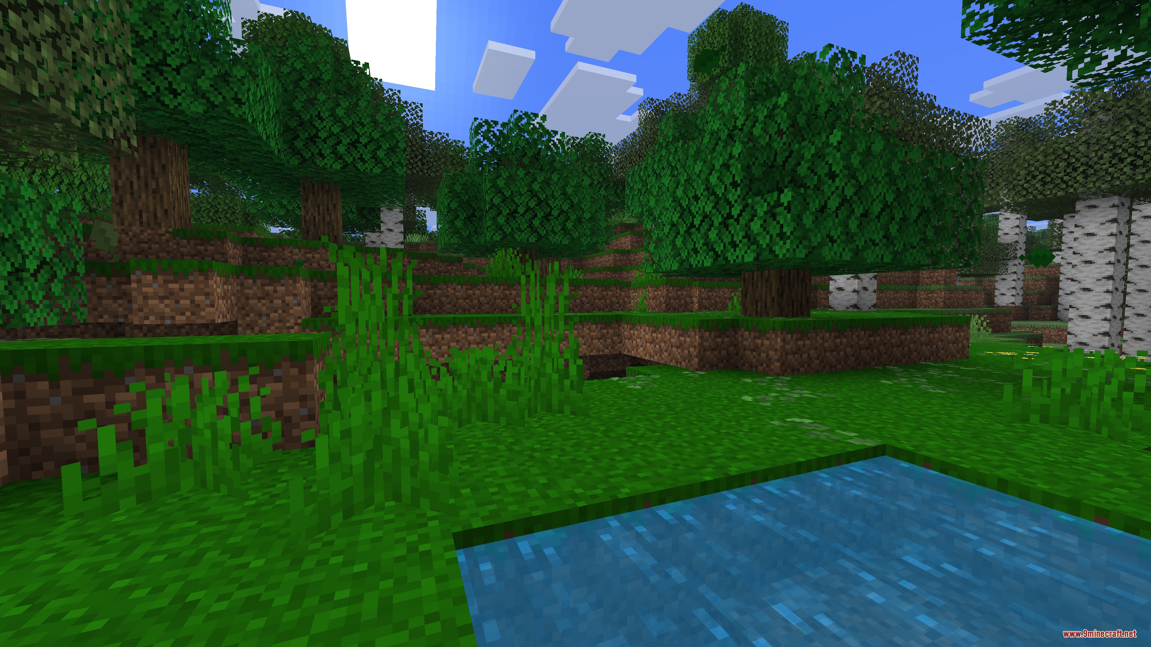 Vibrant Sundries Mod Screenshot 3 Lush green forest landscape with oak trees and a small blue water pond