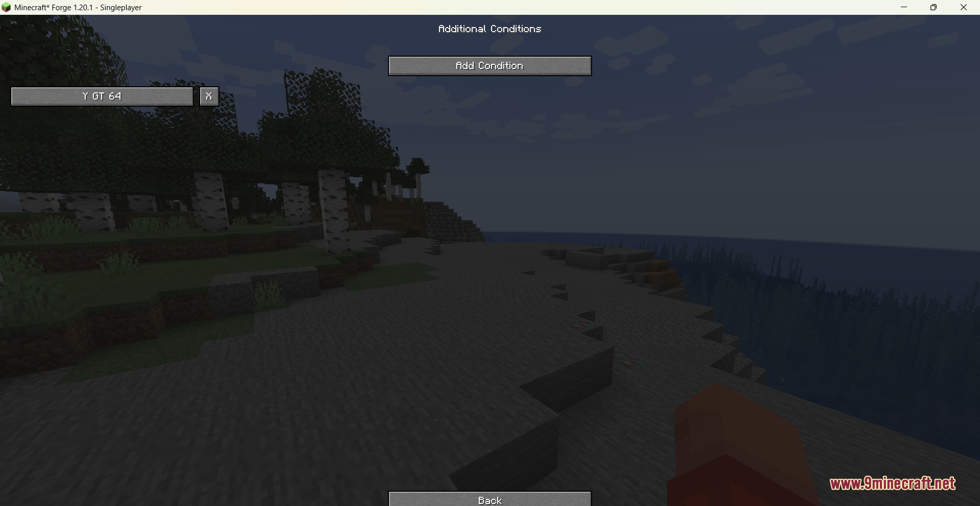 Visual Set Edit Mod Screenshot 7 Minecraft interface for setting additional conditions in the Visual Set Edit Mod