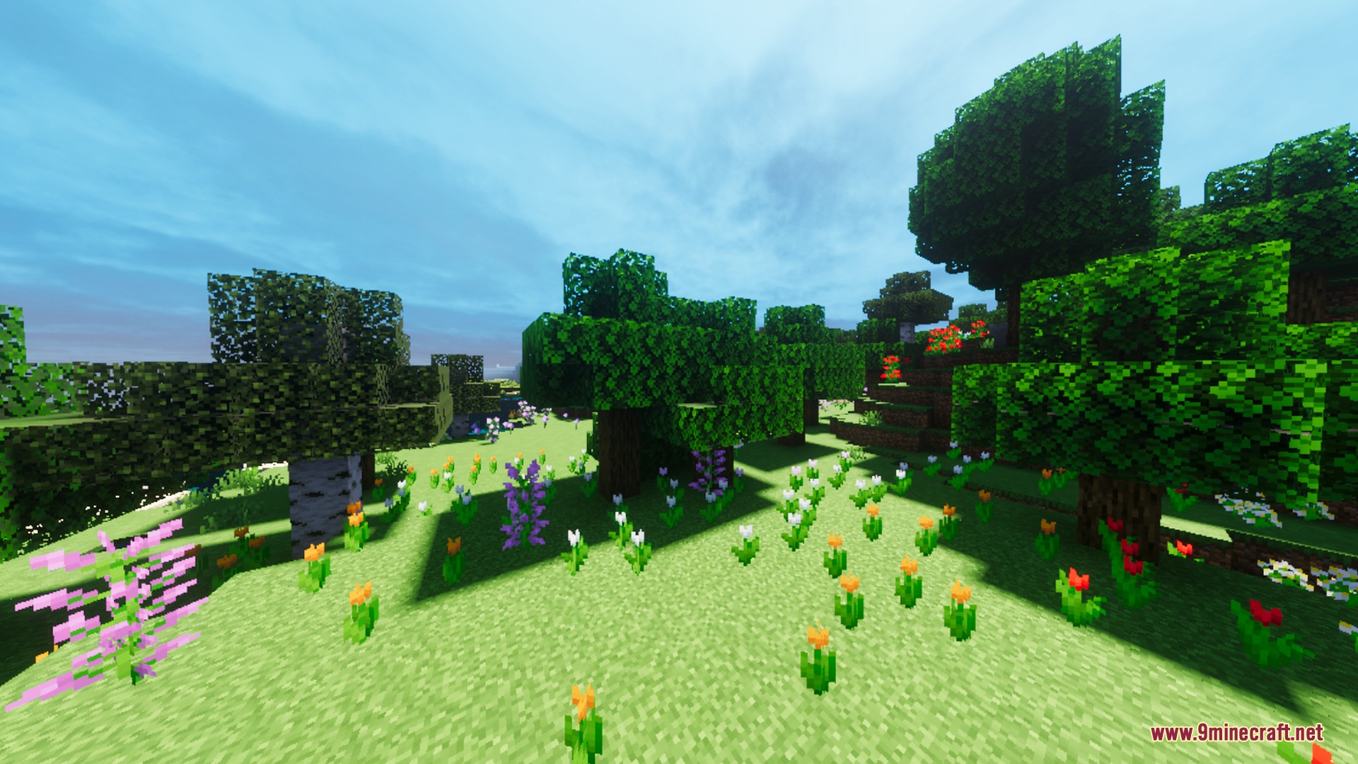 Visuals PLUS Shader Screenshot 10 Vibrant flower forest with realistic lighting and shadows under a clear sky