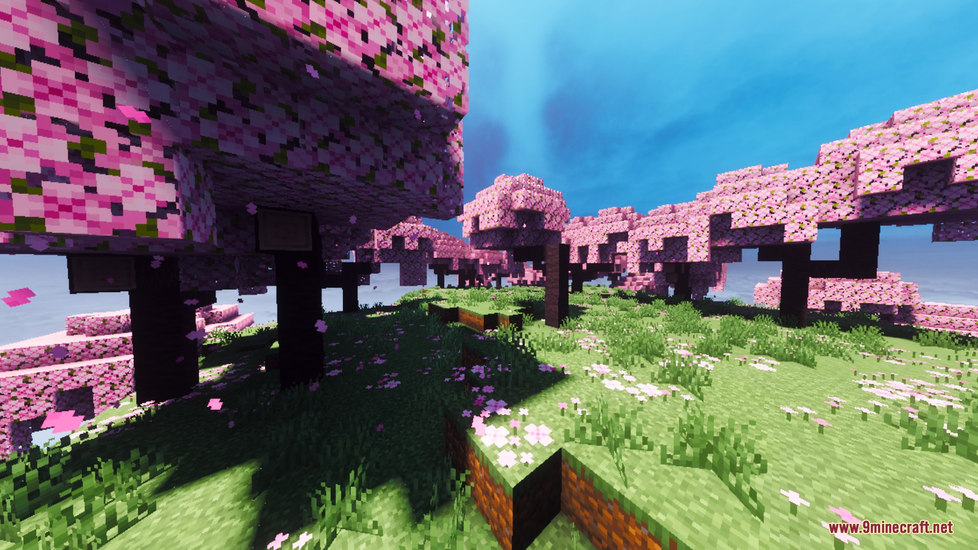 Visuals PLUS Shader Screenshot 7 Pink cherry blossom trees stand in a grassy field under a bright blue sky