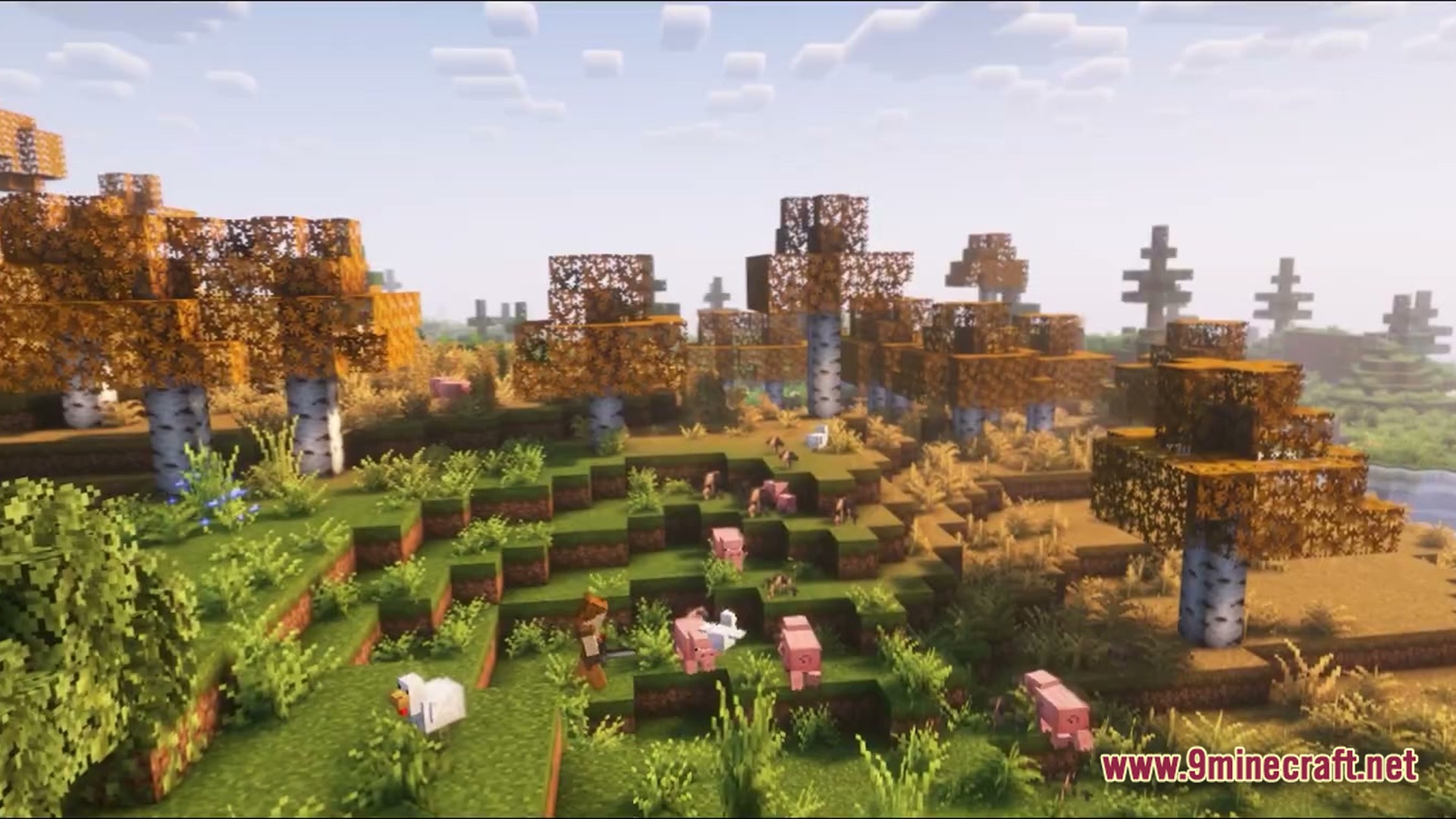 Vivid Kinetic Ether Modpack Screenshot 6 A player character stands among pigs and chickens in an autumnal birch forest biome with shaders