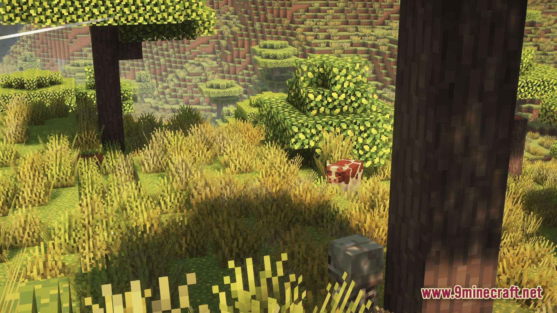 Vivid Kinetic Ether Modpack Screenshot 7 A cow stands in tall grass within a hilly savanna biome featuring custom trees and shaders