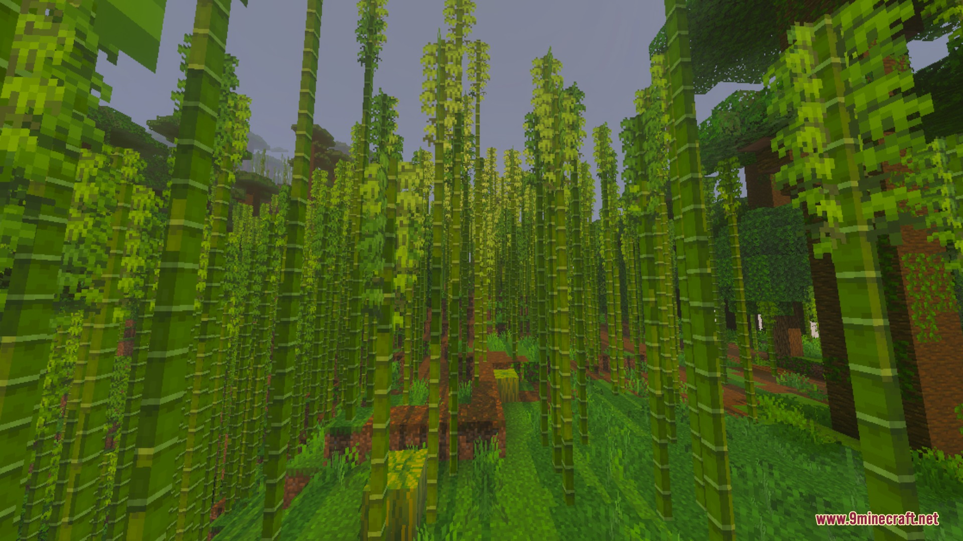 Voxen's Glowing Armor Trims Shader Screenshot 10 A dense bamboo forest biome with tall green stalks and lush grass