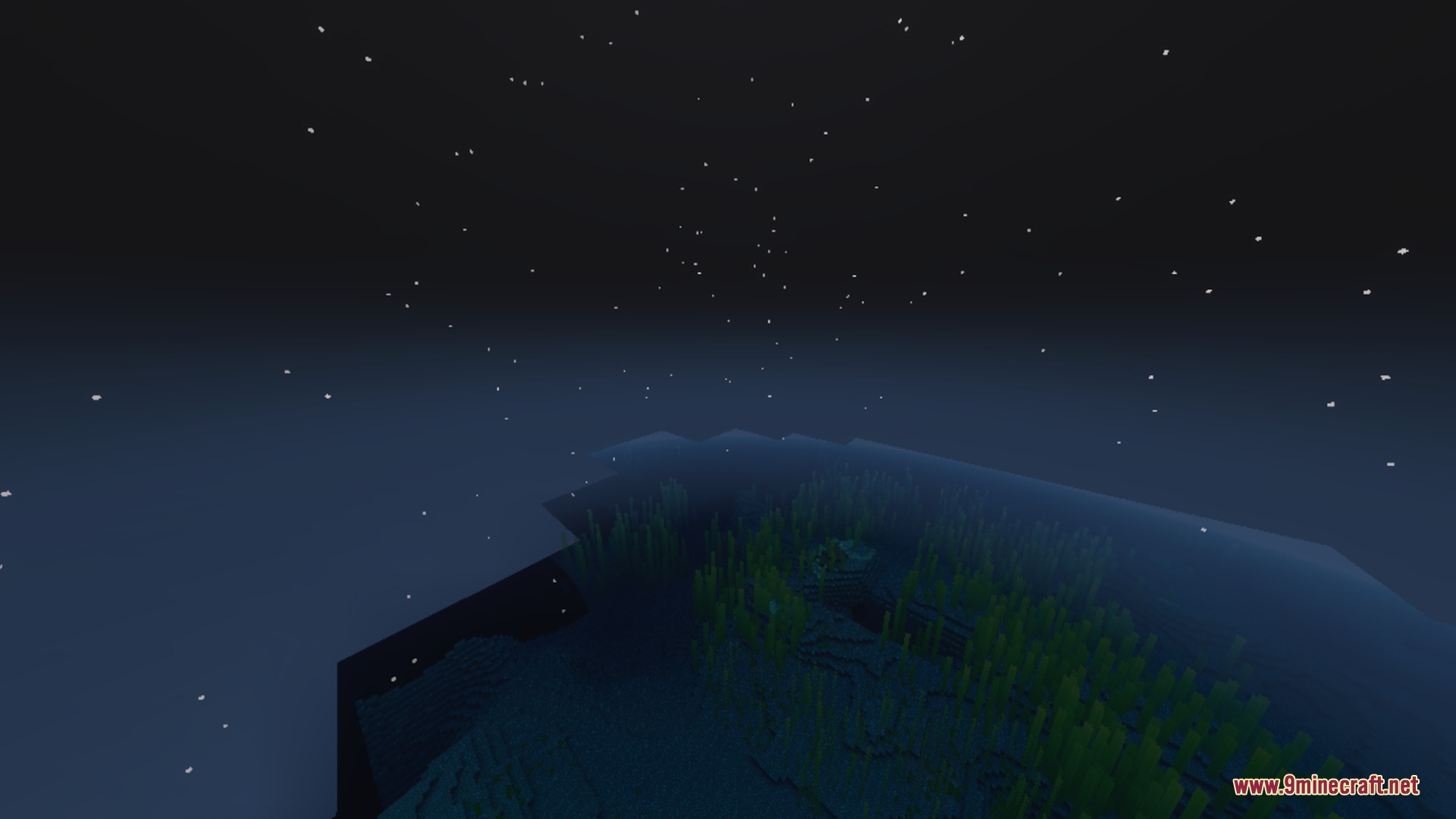 Voxen's Glowing Armor Trims Shader Screenshot 5 A dark underwater landscape with kelp growing under a starry night sky