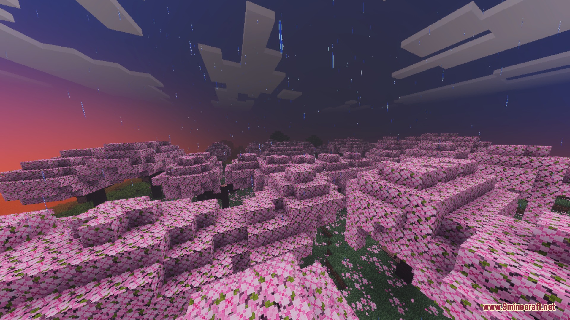 Rain falling over a cherry grove biome during a colorful sunset sky
