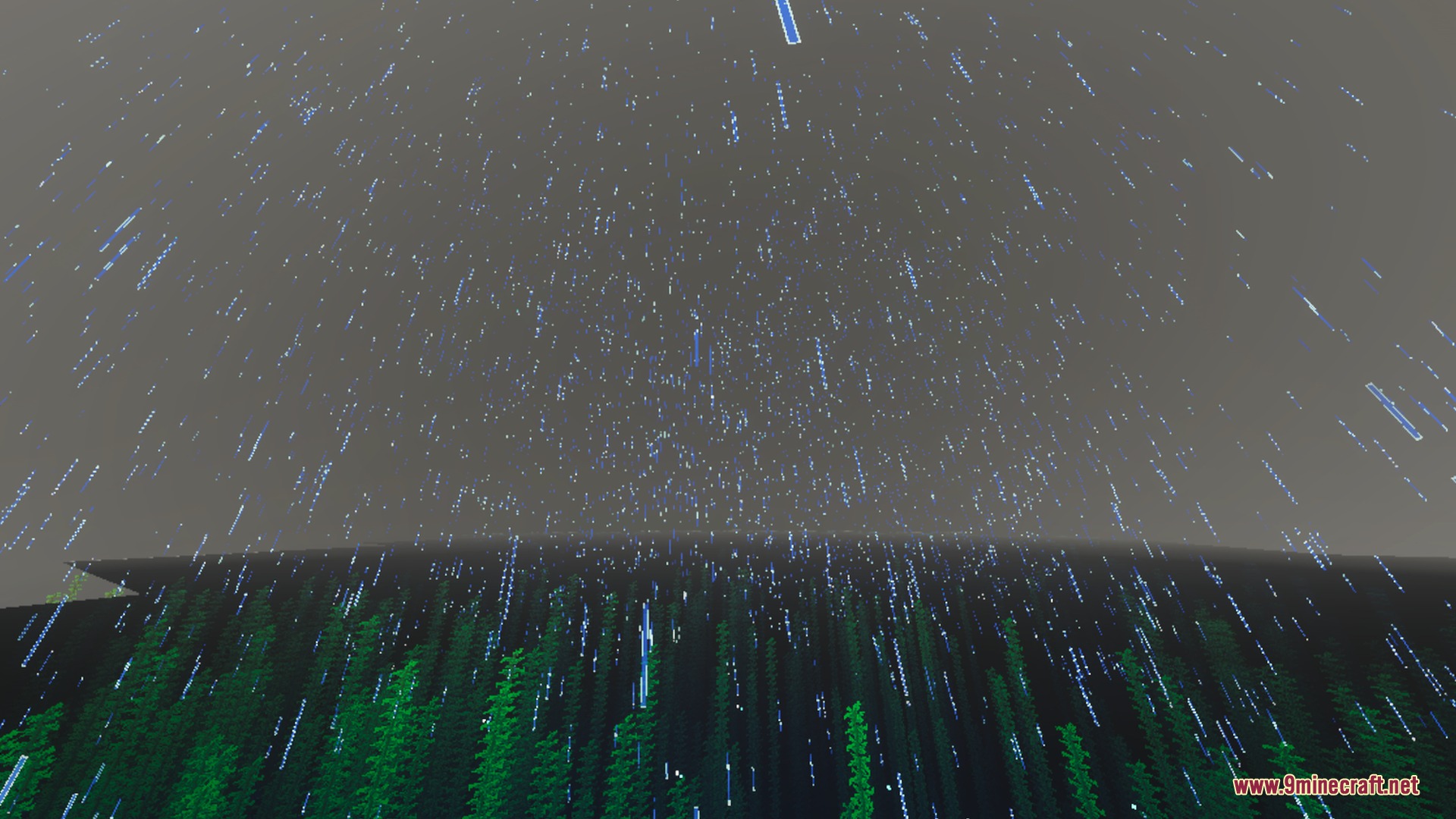 Underwater view of tall green kelp with rain falling on the surface