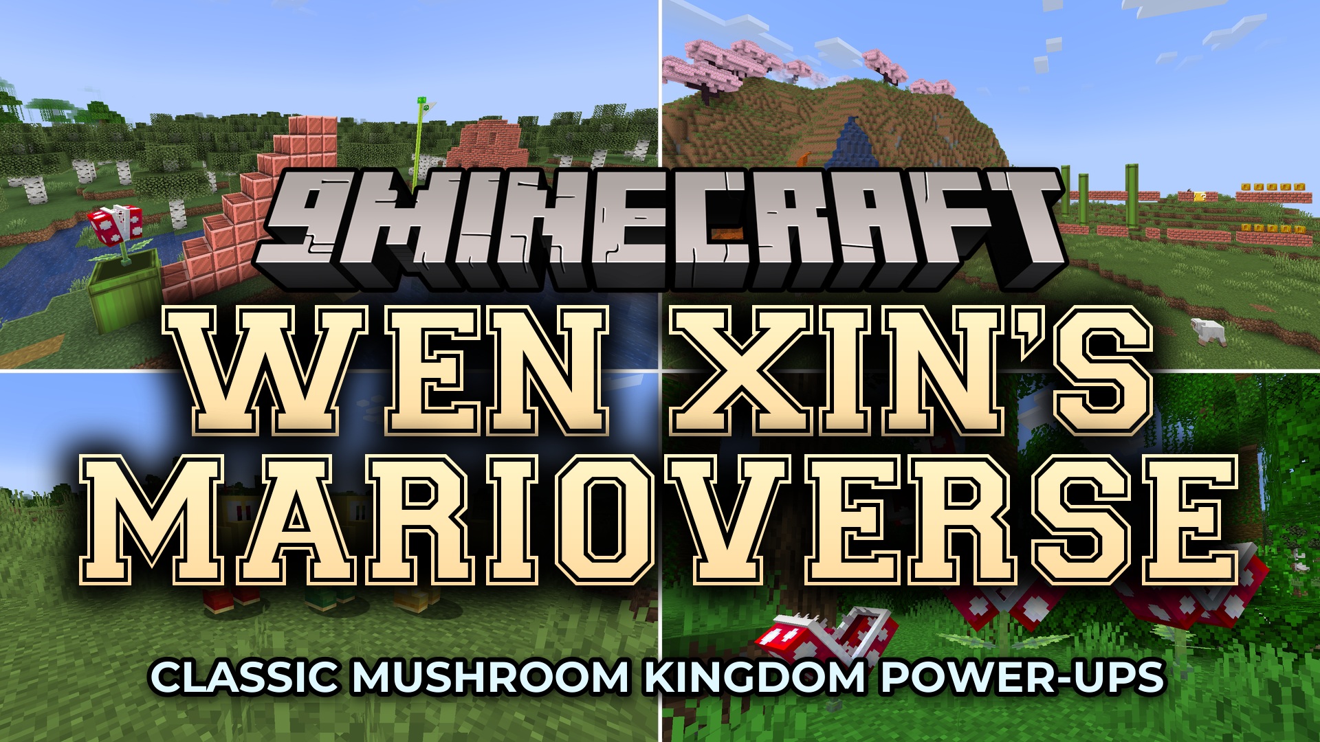 Wen Xin's Marioverse Mod