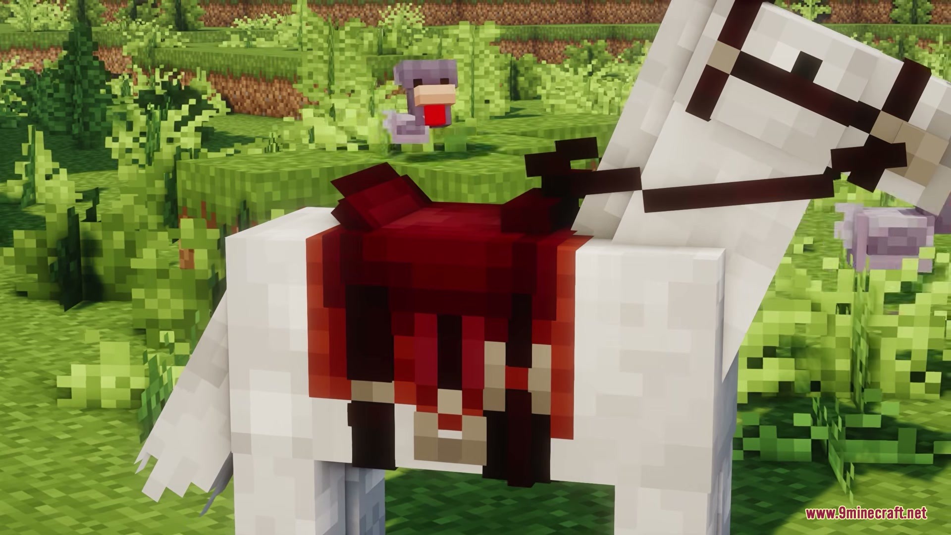 White horse with a detailed red saddle and bridle in a forest