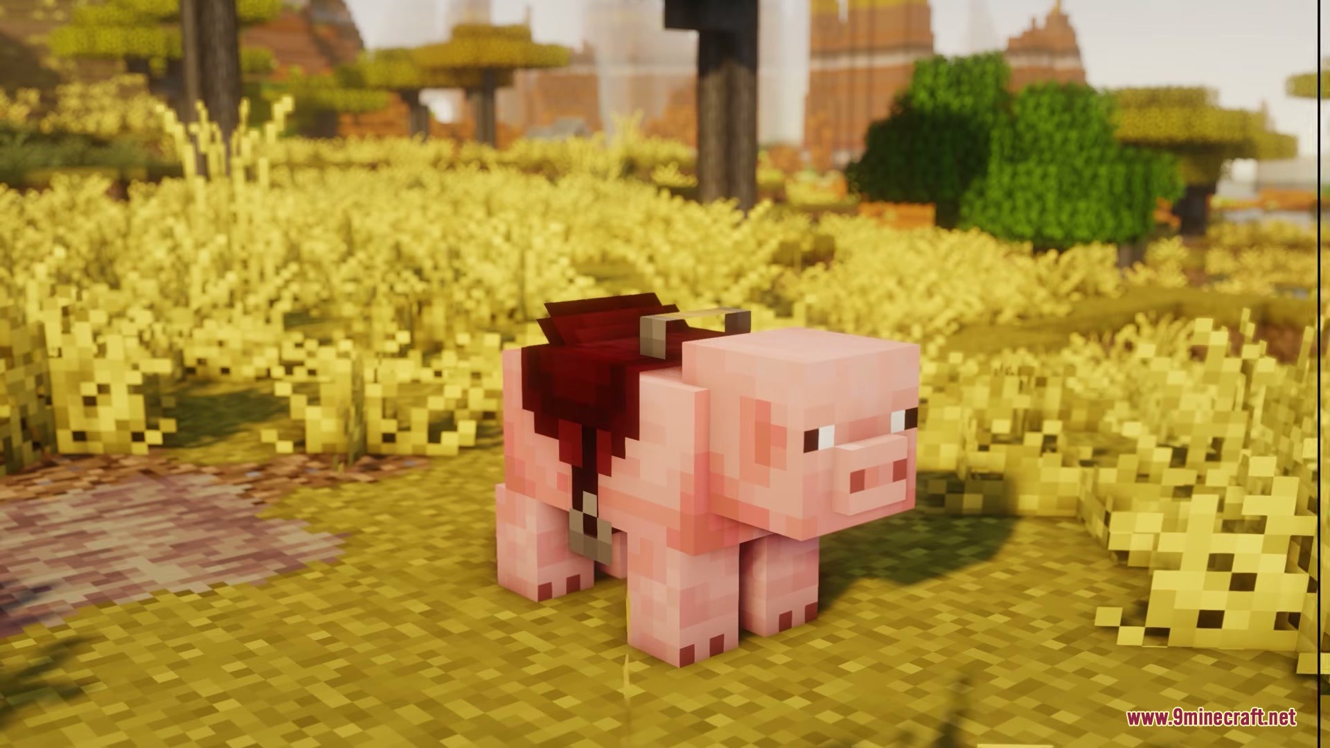 Pink pig wearing a custom red saddle in a grassy savanna biome