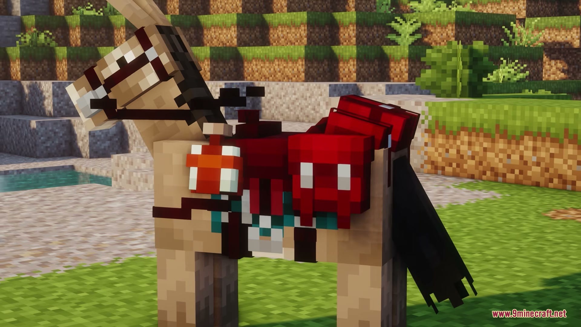 Horse wearing a custom red saddle and travel bags