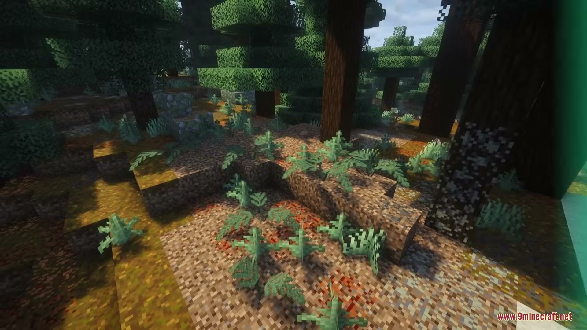 Wild Flora Mod Screenshot 1 Wild Flora mod adds dense bracken ferns and lichen to the forest floor