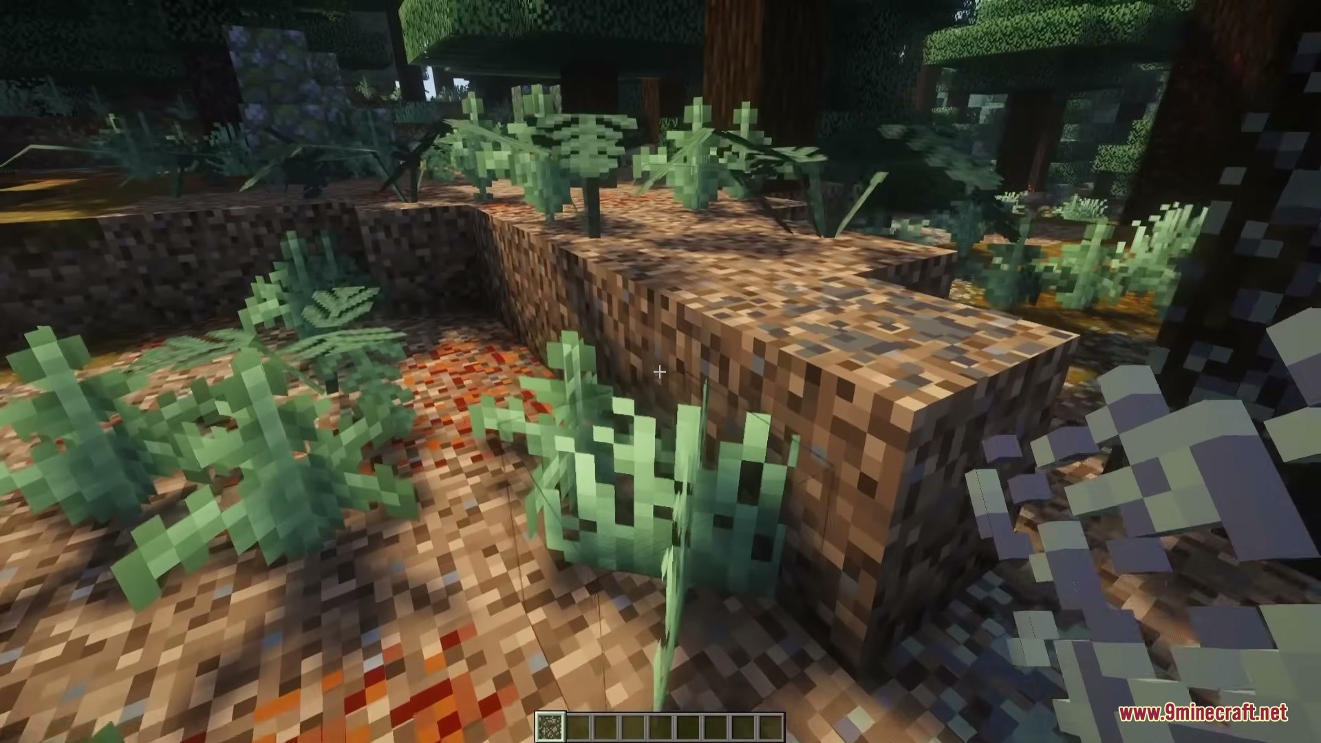 Wild Flora Mod Screenshot 2 Close view of green ferns and lichen growing on podzol blocks